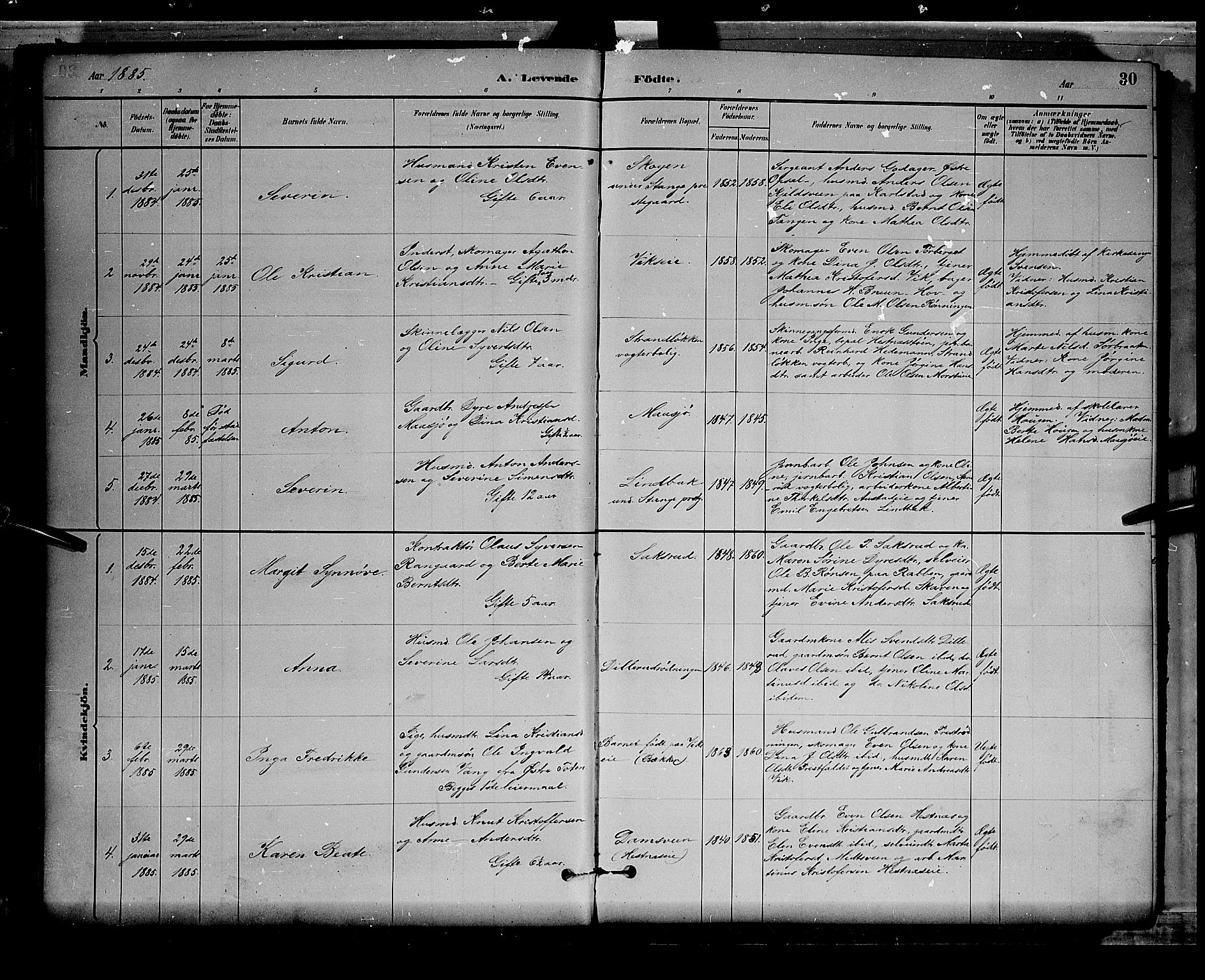 Stange prestekontor, AV/SAH-PREST-002/L/L0008: Parish register (copy) no. 8, 1882-1895, p. 30