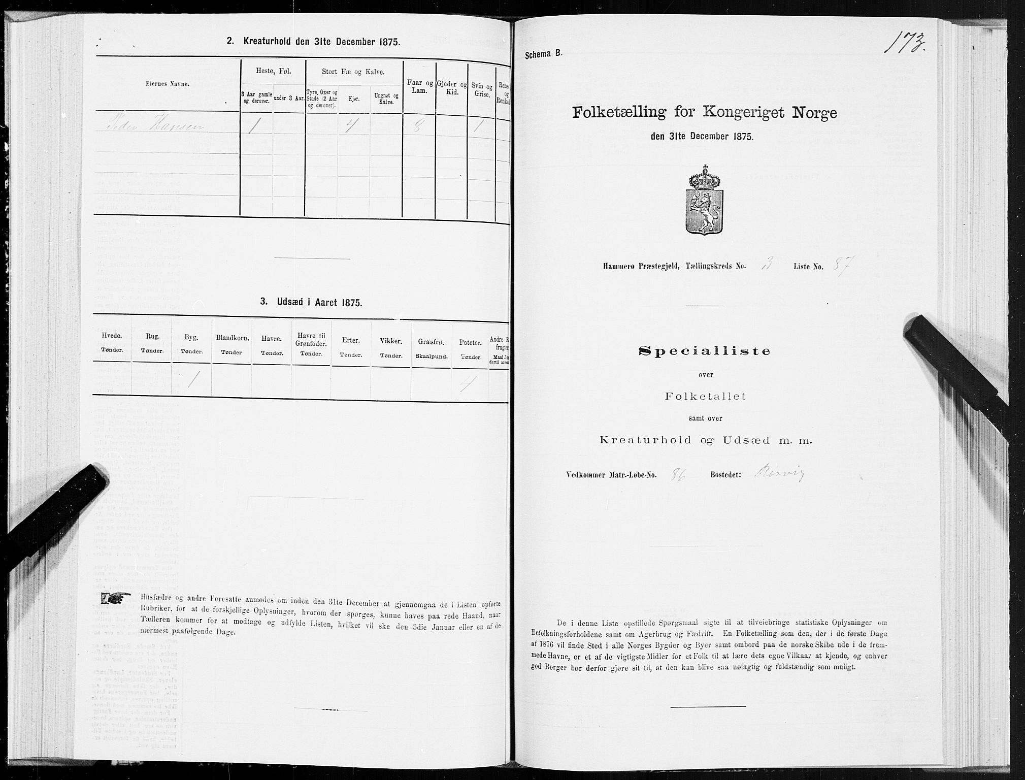 SAT, 1875 census for 1849P Hamarøy, 1875, p. 2173