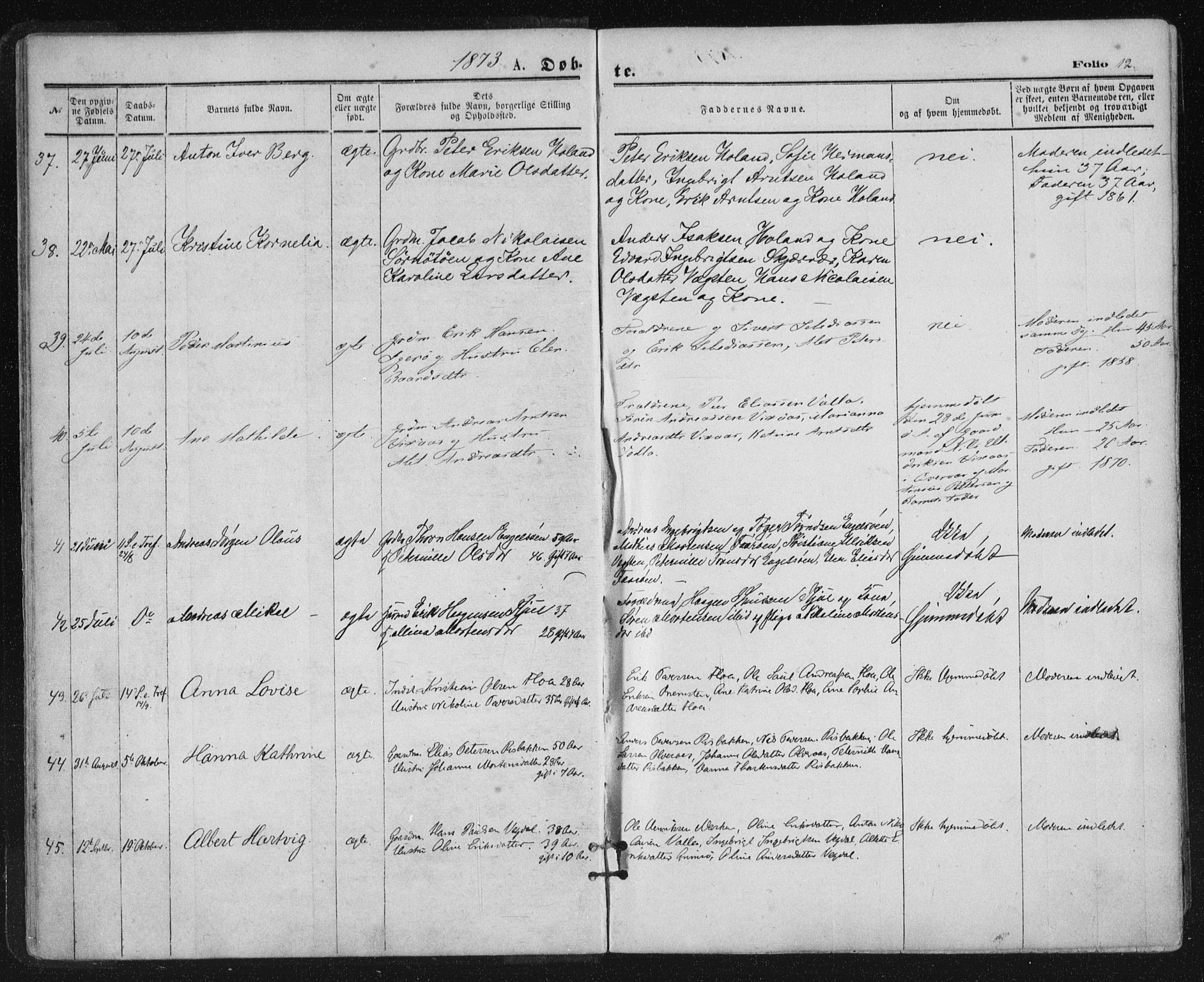 Ministerialprotokoller, klokkerbøker og fødselsregistre - Nordland, AV/SAT-A-1459/816/L0241: Parish register (official) no. 816A07, 1870-1885, p. 12