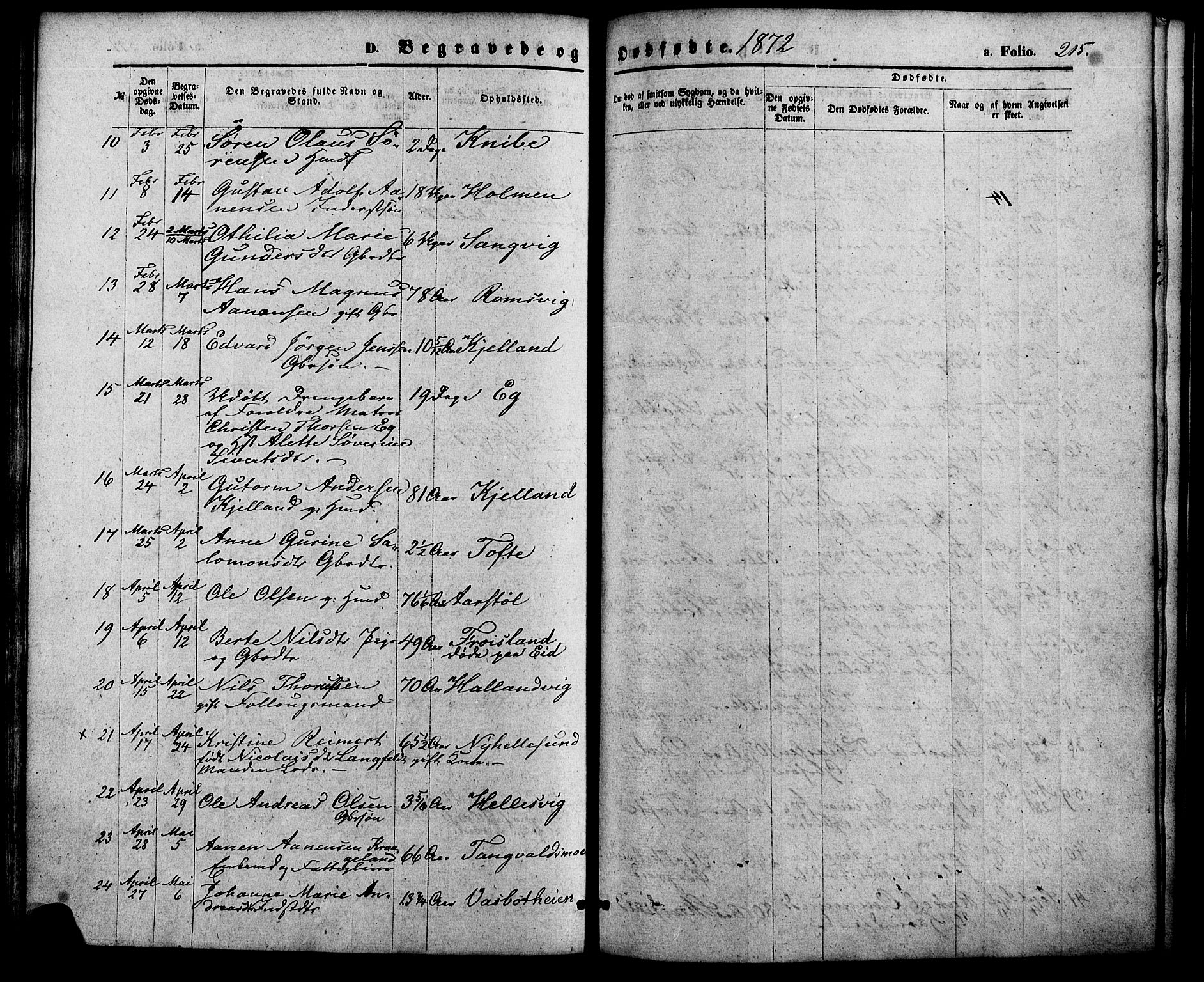 Søgne sokneprestkontor, SAK/1111-0037/F/Fa/Fab/L0011: Parish register (official) no. A 11, 1869-1879, p. 215