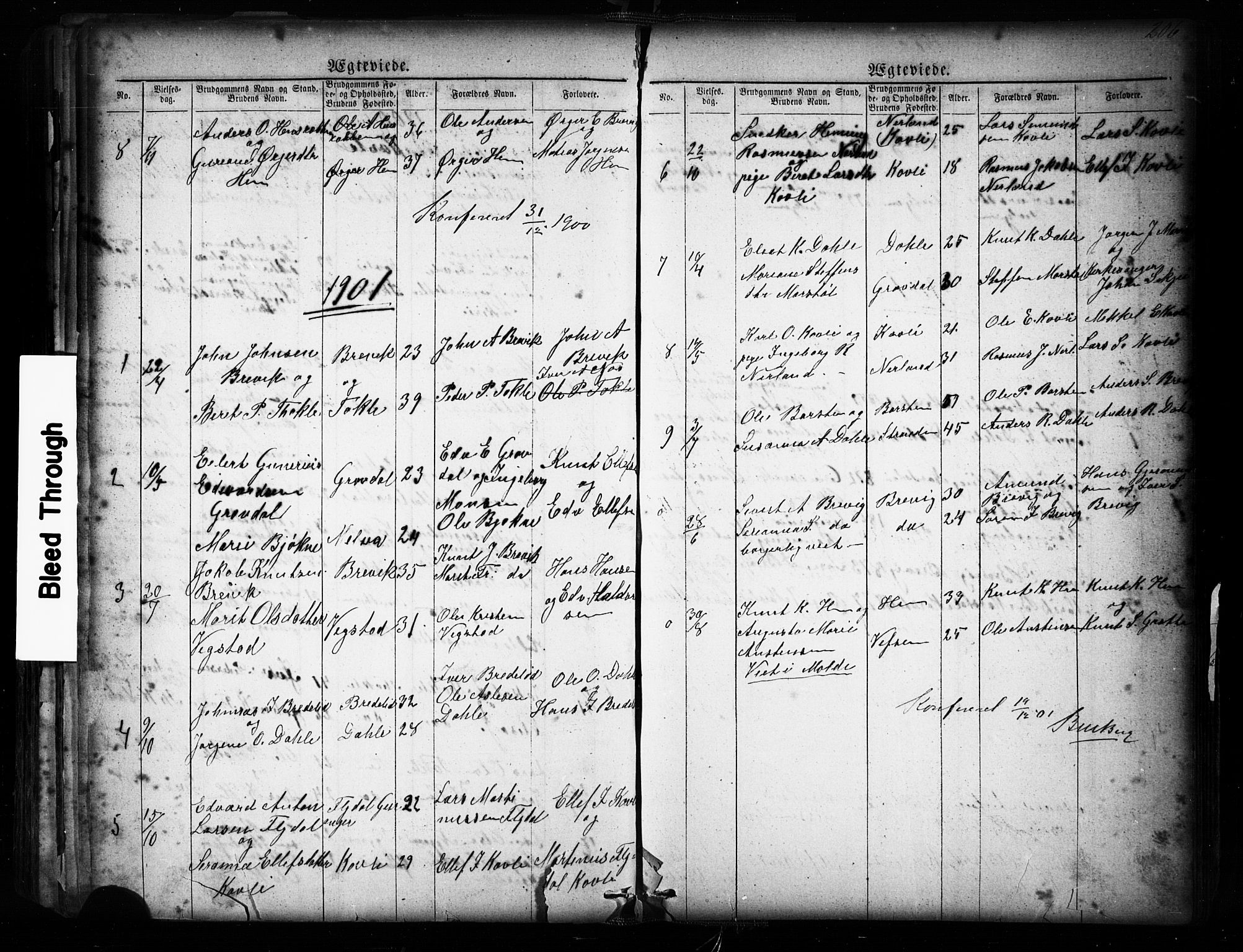 Ministerialprotokoller, klokkerbøker og fødselsregistre - Møre og Romsdal, SAT/A-1454/545/L0588: Parish register (copy) no. 545C02, 1867-1902, p. 206