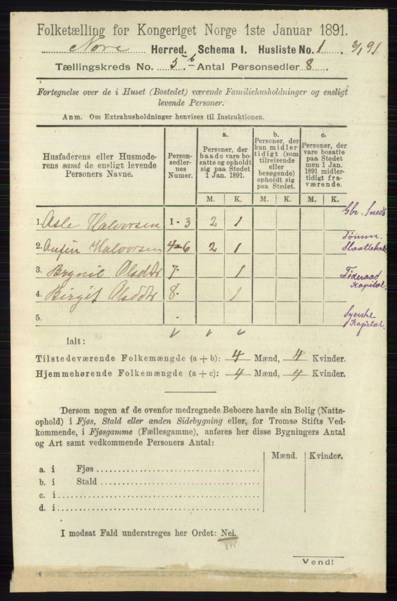 RA, 1891 census for 0633 Nore, 1891, p. 1761