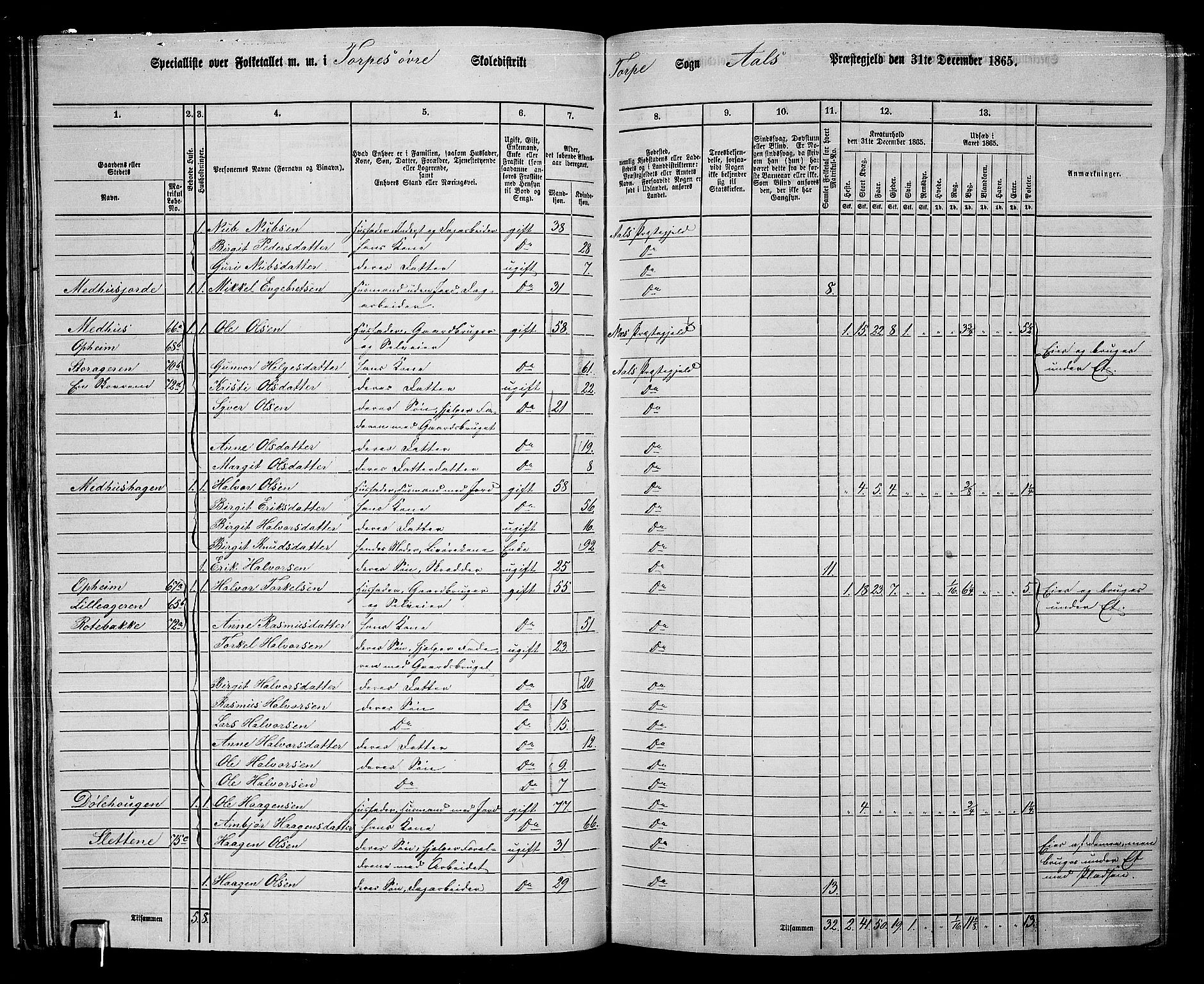 RA, 1865 census for Ål, 1865, p. 47