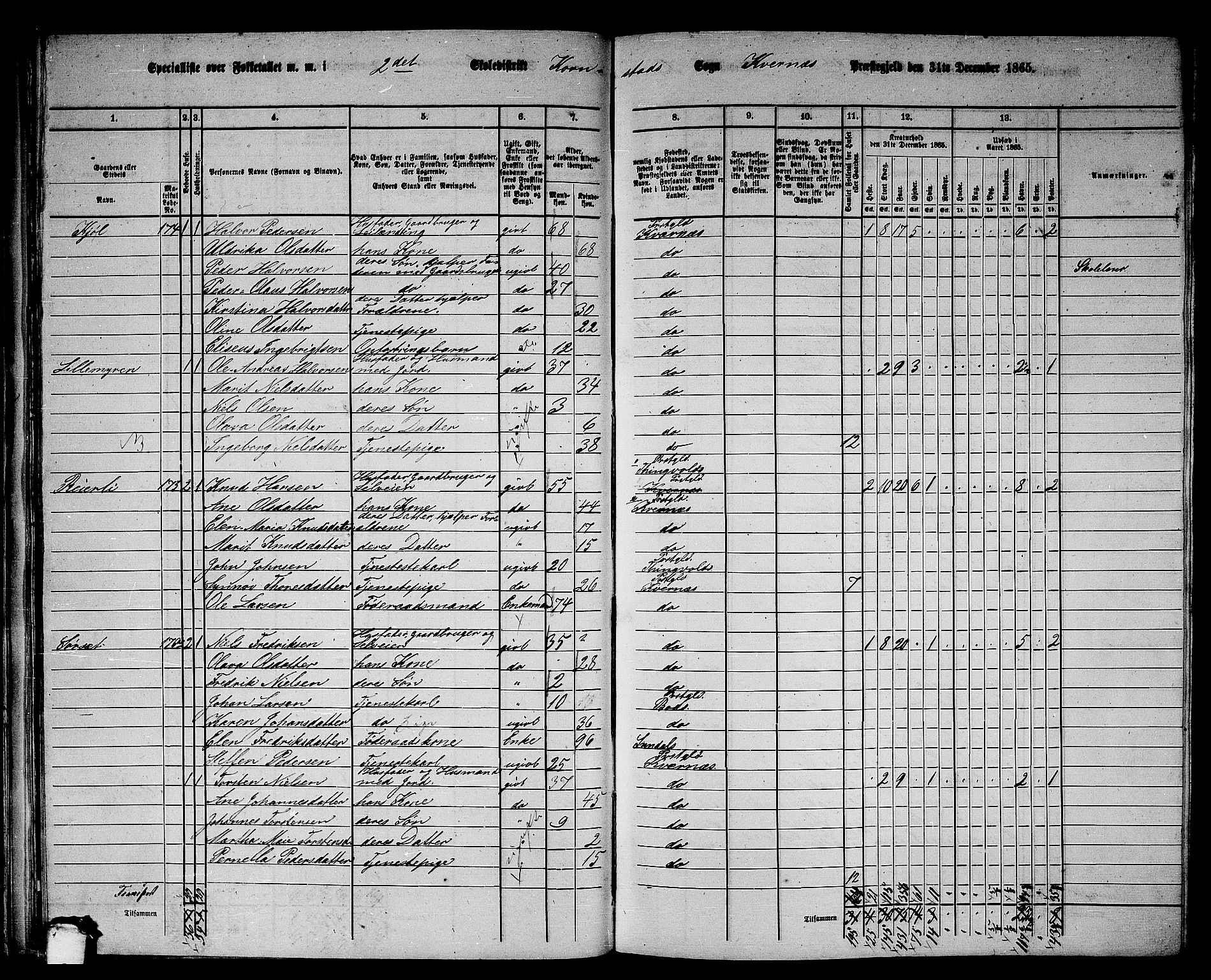 RA, 1865 census for Kvernes, 1865, p. 38