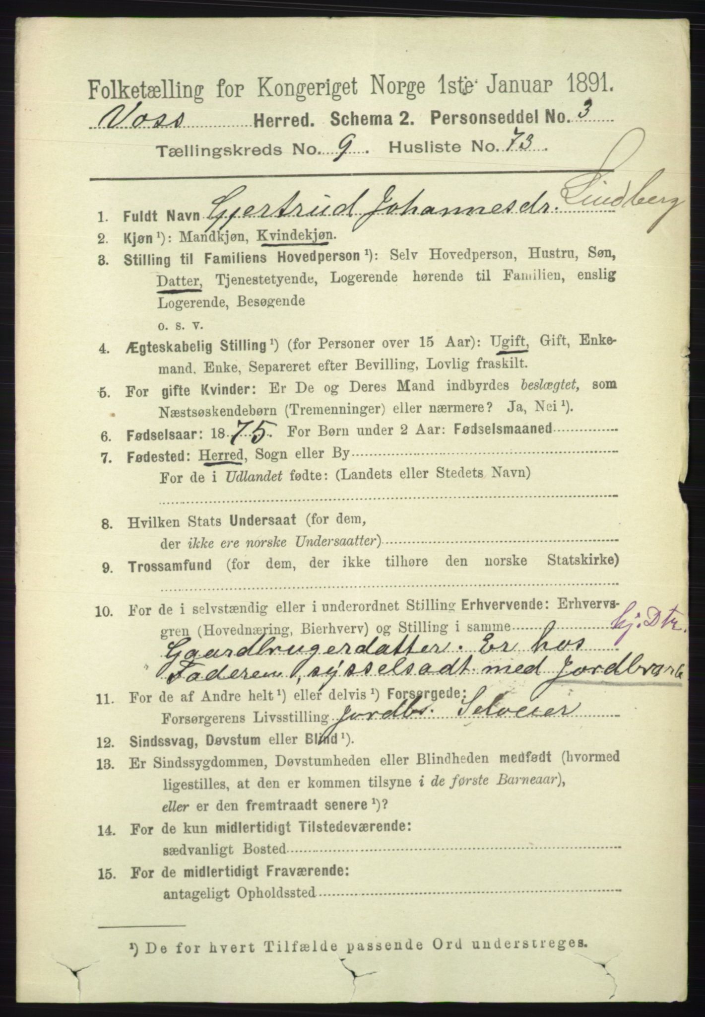 RA, 1891 census for 1235 Voss, 1891, p. 5100