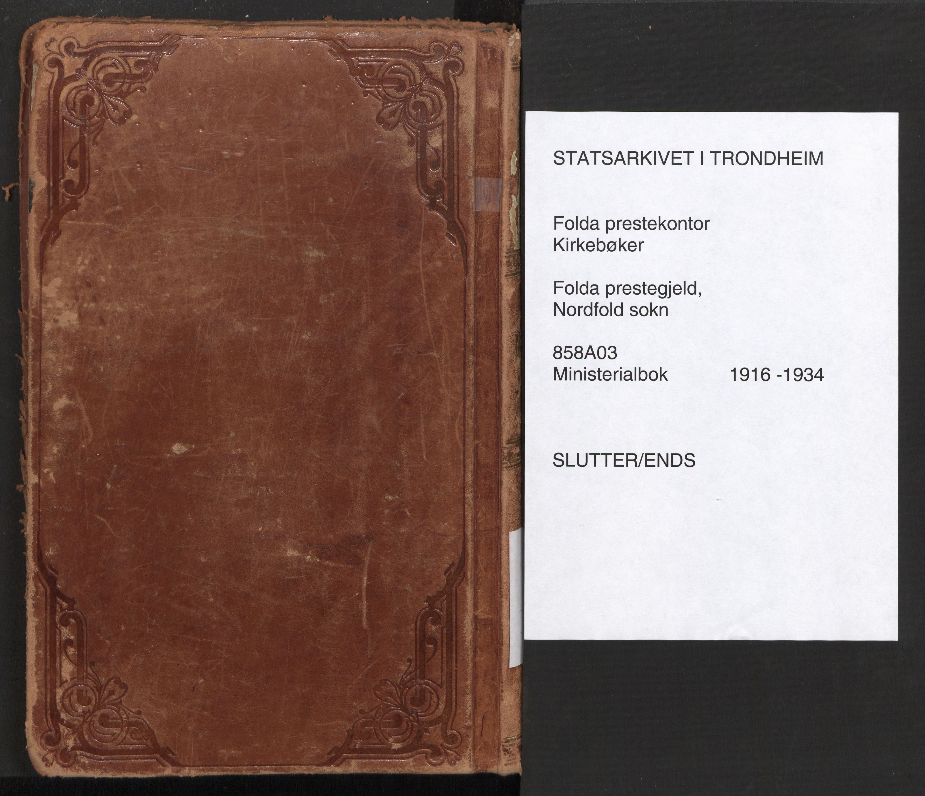 Ministerialprotokoller, klokkerbøker og fødselsregistre - Nordland, AV/SAT-A-1459/858/L0833: Parish register (official) no. 858A03, 1916-1934