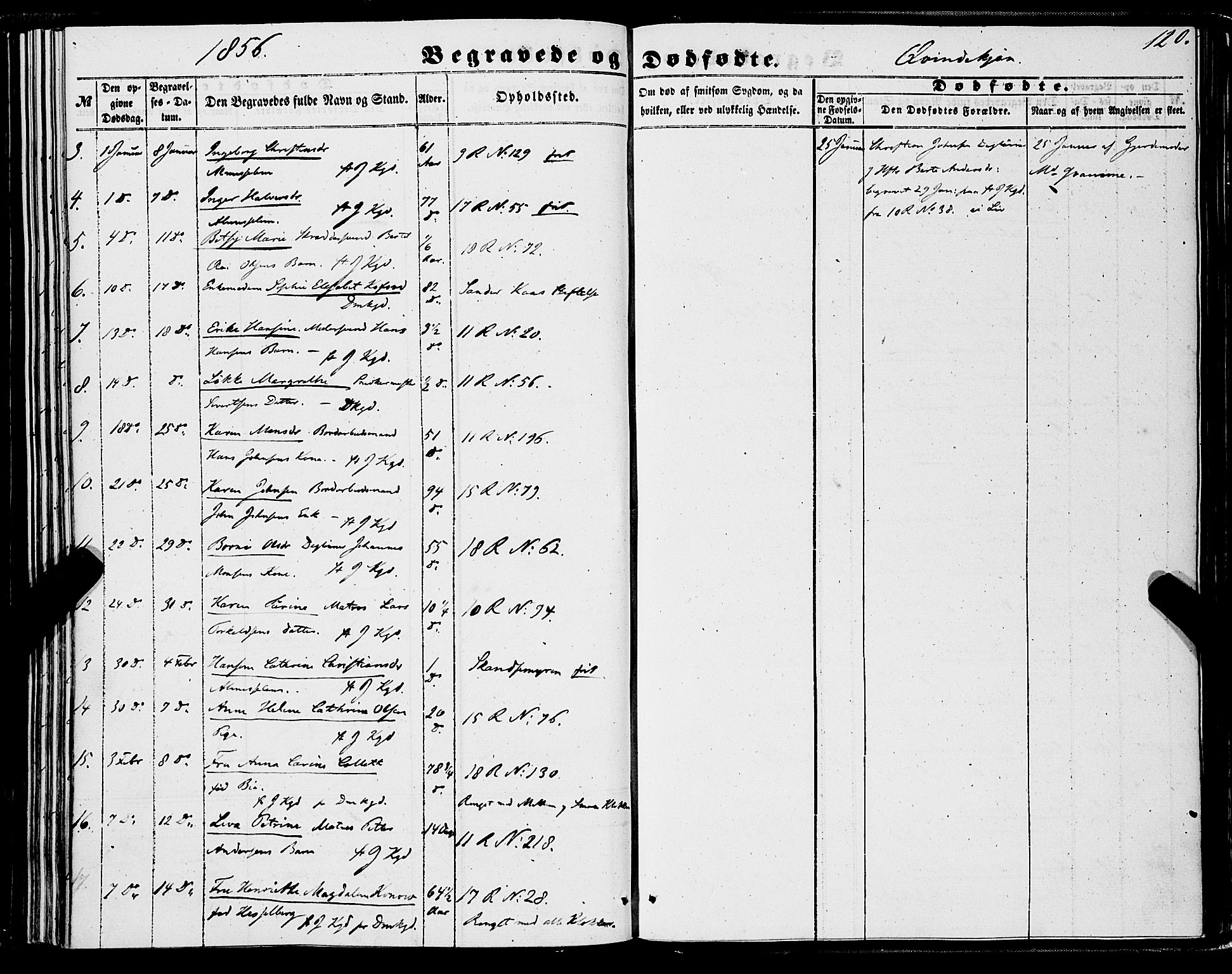 Domkirken sokneprestembete, AV/SAB-A-74801/H/Haa/L0041: Parish register (official) no. E 2, 1853-1863, p. 120