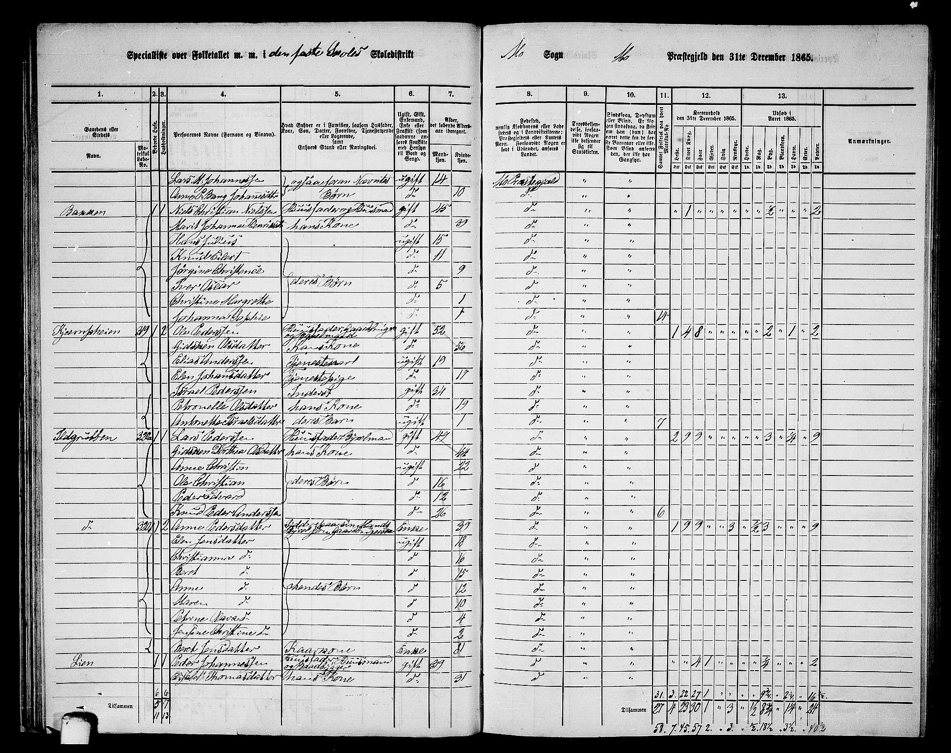 RA, 1865 census for Mo, 1865, p. 48