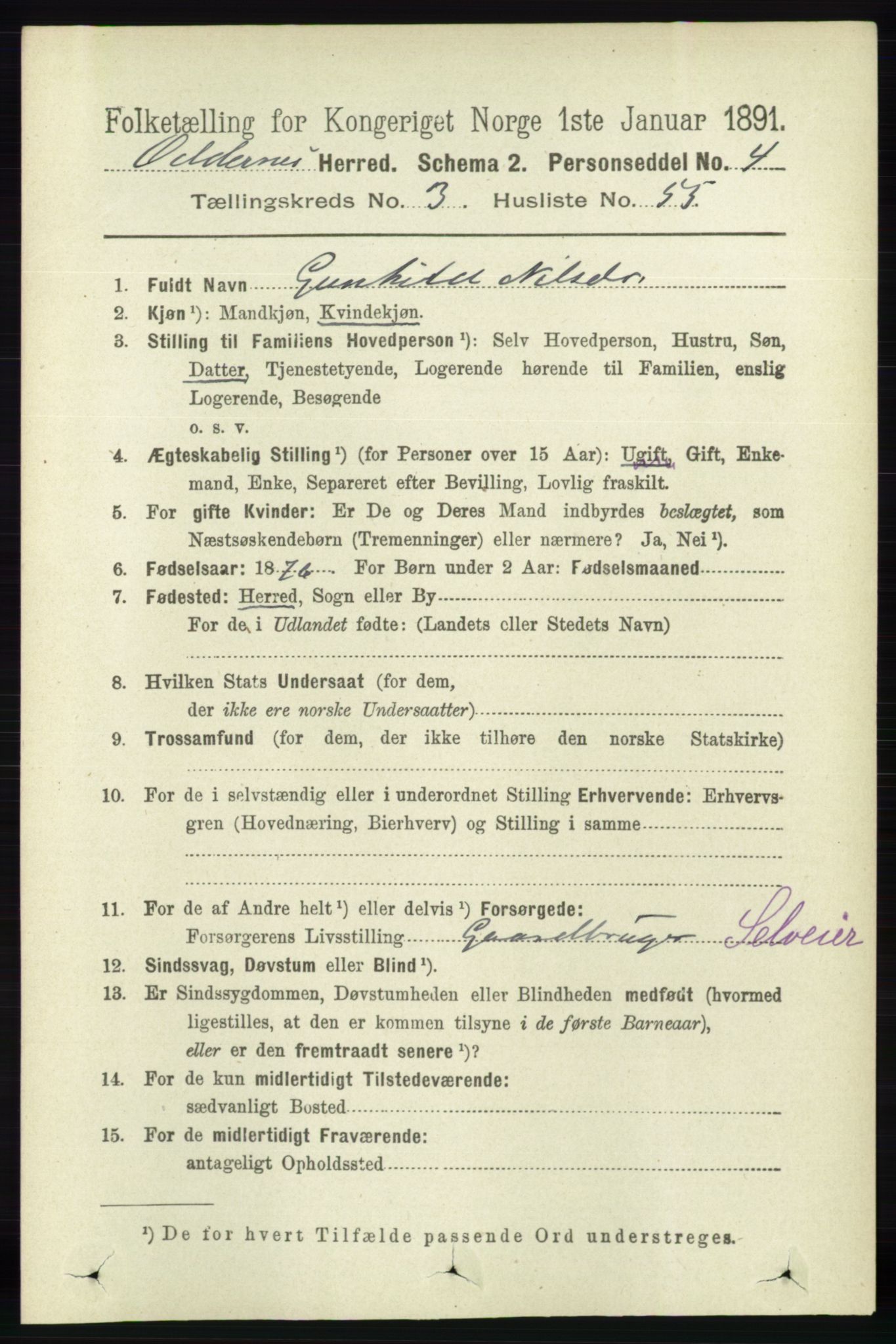 RA, 1891 census for 1012 Oddernes, 1891, p. 1096