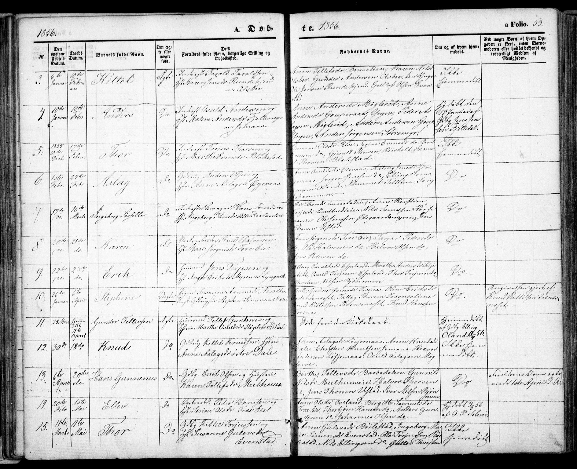 Froland sokneprestkontor, SAK/1111-0013/F/Fa/L0002: Parish register (official) no. A 2, 1845-1863, p. 53