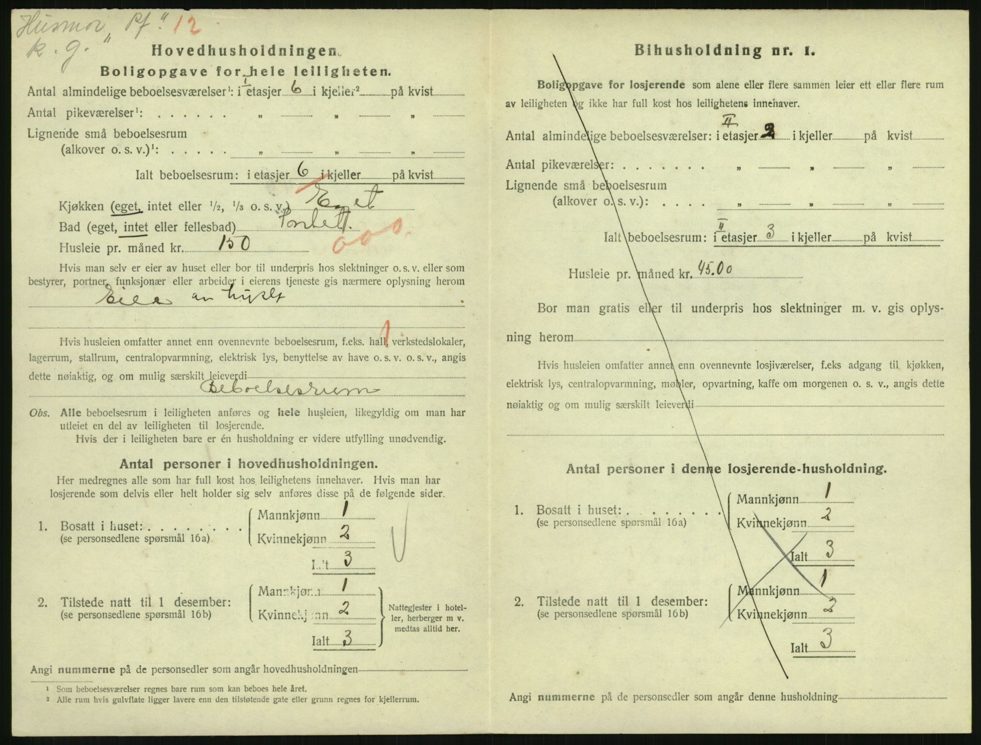 SAH, 1920 census for Lillehammer, 1920, p. 3007