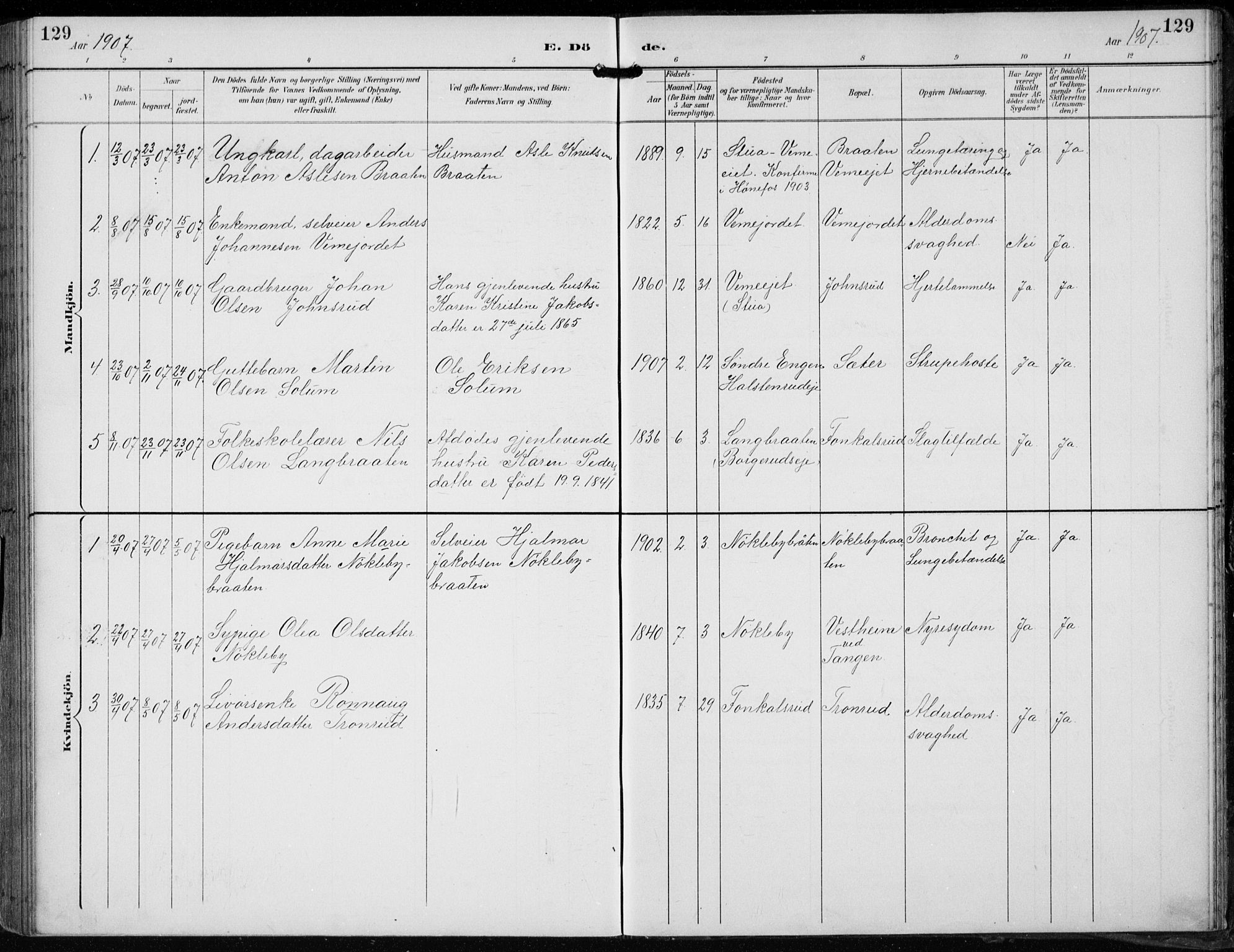 Lunder kirkebøker, AV/SAKO-A-629/F/Fb/L0001: Parish register (official) no. II 1, 1893-1916, p. 129