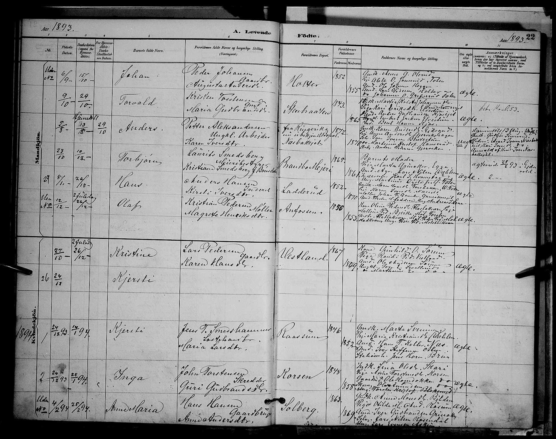 Gran prestekontor, SAH/PREST-112/H/Ha/Hab/L0004: Parish register (copy) no. 4, 1890-1899, p. 22