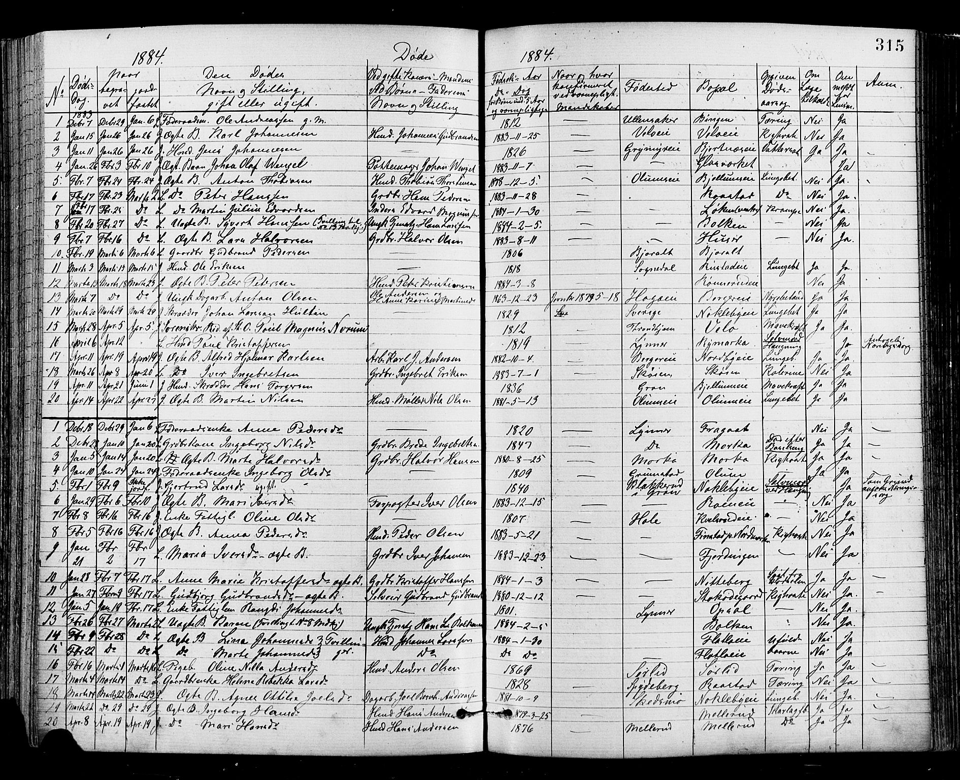 Jevnaker prestekontor, SAH/PREST-116/H/Ha/Haa/L0008: Parish register (official) no. 8, 1877-1890, p. 315