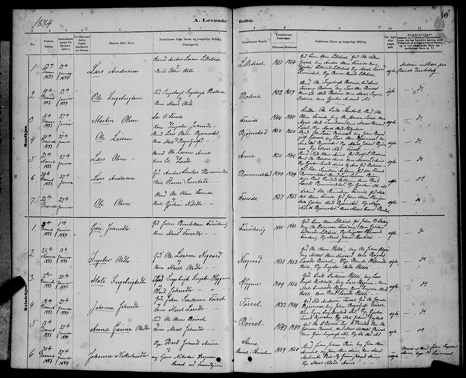 Ministerialprotokoller, klokkerbøker og fødselsregistre - Møre og Romsdal, AV/SAT-A-1454/598/L1077: Parish register (copy) no. 598C02, 1879-1891, p. 40