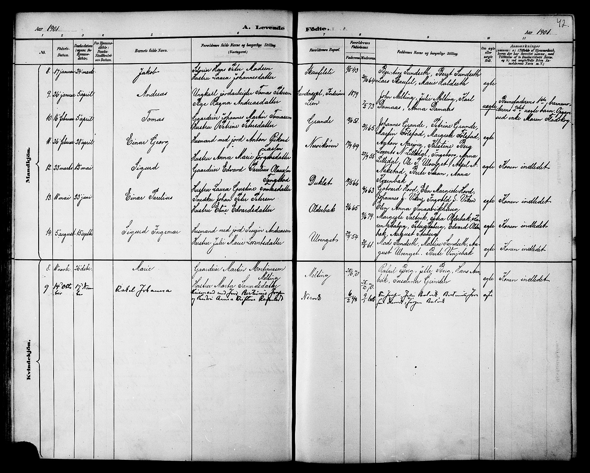 Ministerialprotokoller, klokkerbøker og fødselsregistre - Nord-Trøndelag, SAT/A-1458/733/L0327: Parish register (copy) no. 733C02, 1888-1918, p. 42