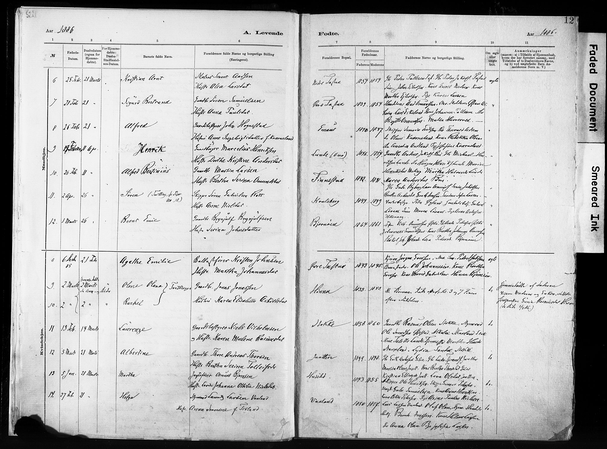 Hetland sokneprestkontor, AV/SAST-A-101826/30/30BA/L0011: Parish register (official) no. A 11, 1884-1911, p. 12