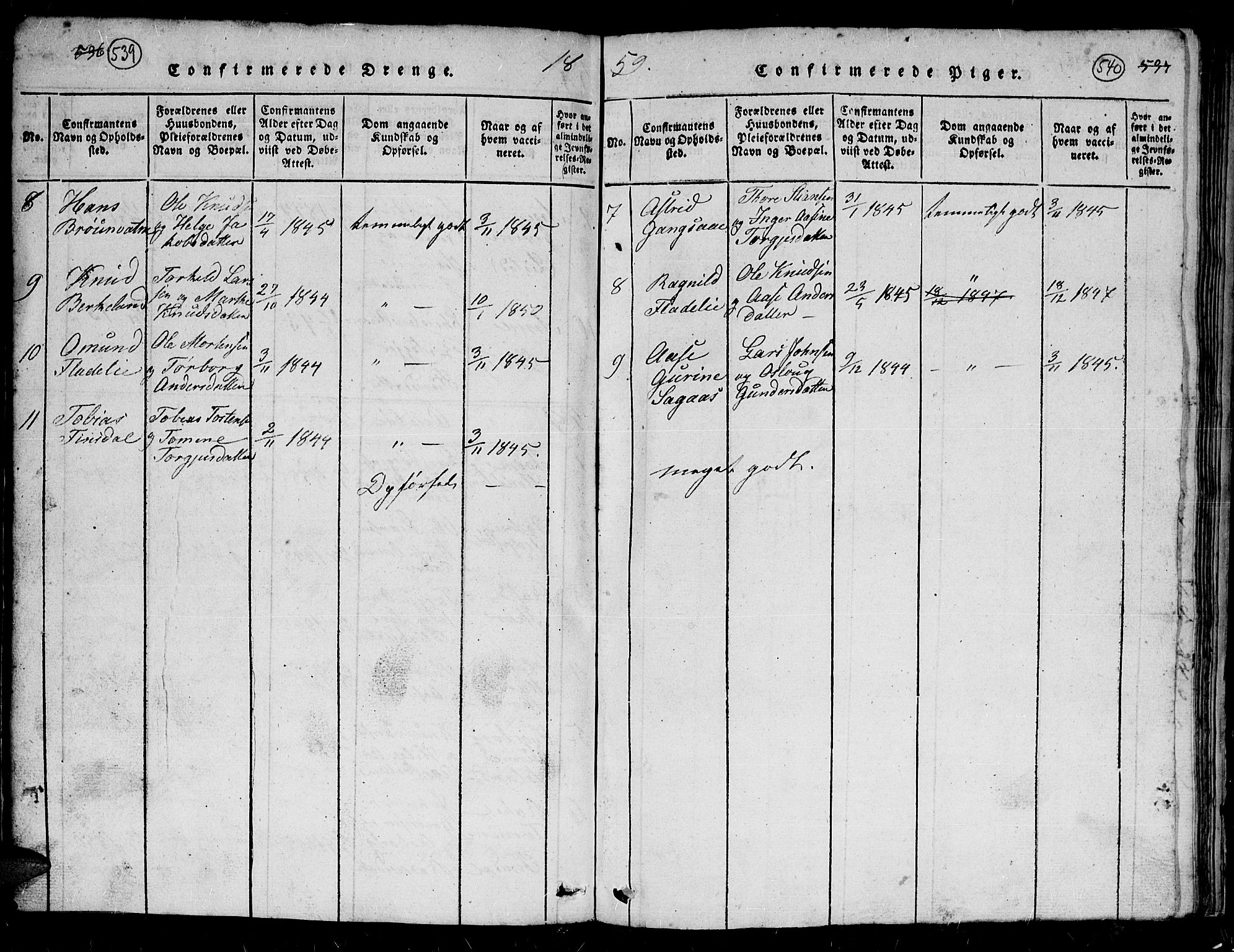 Holum sokneprestkontor, AV/SAK-1111-0022/F/Fb/Fbc/L0001: Parish register (copy) no. B 1, 1820-1859, p. 539-540