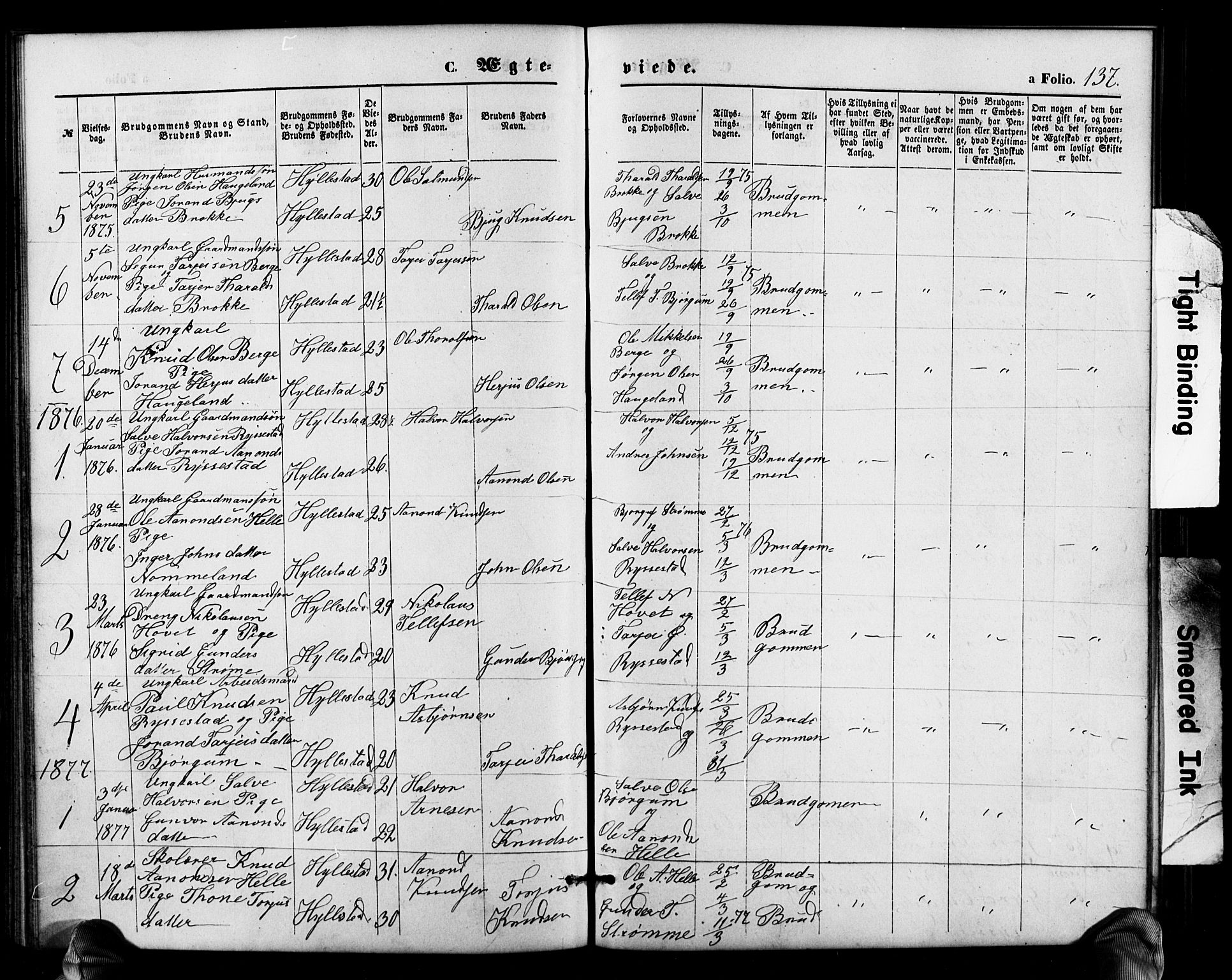 Valle sokneprestkontor, SAK/1111-0044/F/Fb/Fbb/L0002: Parish register (copy) no. B 2, 1875-1921, p. 137