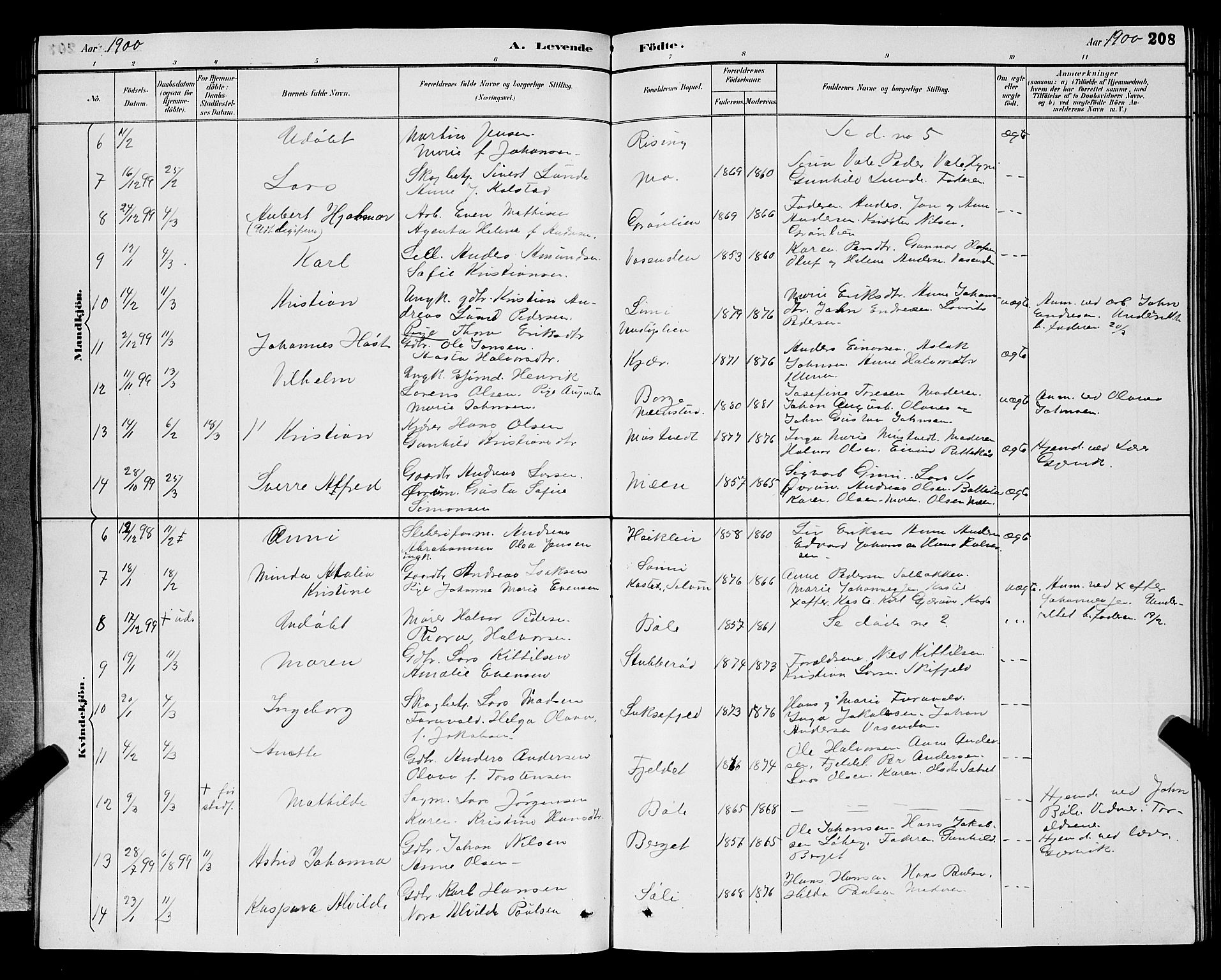 Gjerpen kirkebøker, SAKO/A-265/G/Ga/L0002: Parish register (copy) no. I 2, 1883-1900, p. 208