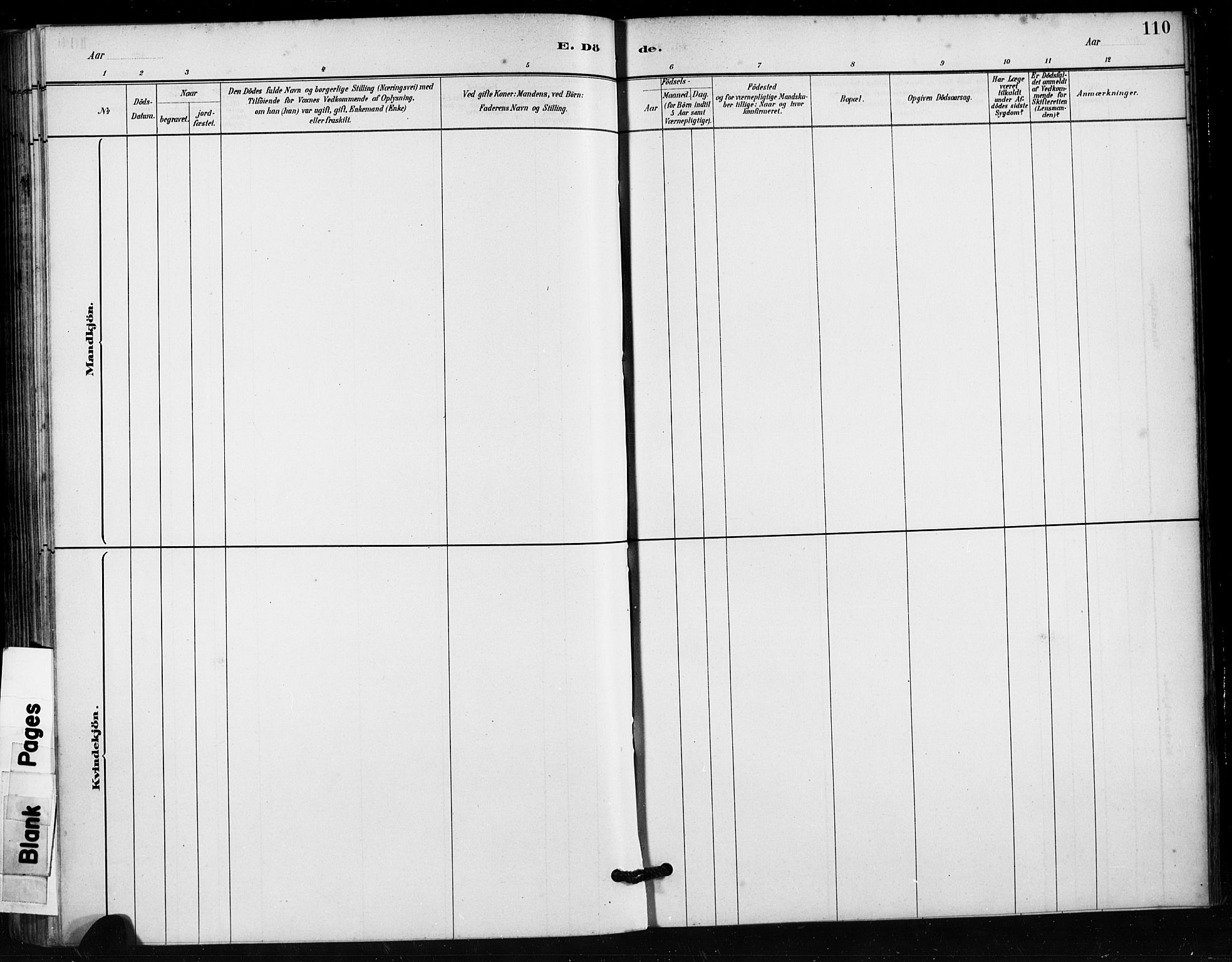 Håland sokneprestkontor, AV/SAST-A-101802/001/30BA/L0011: Parish register (official) no. A 10, 1883-1900, p. 110