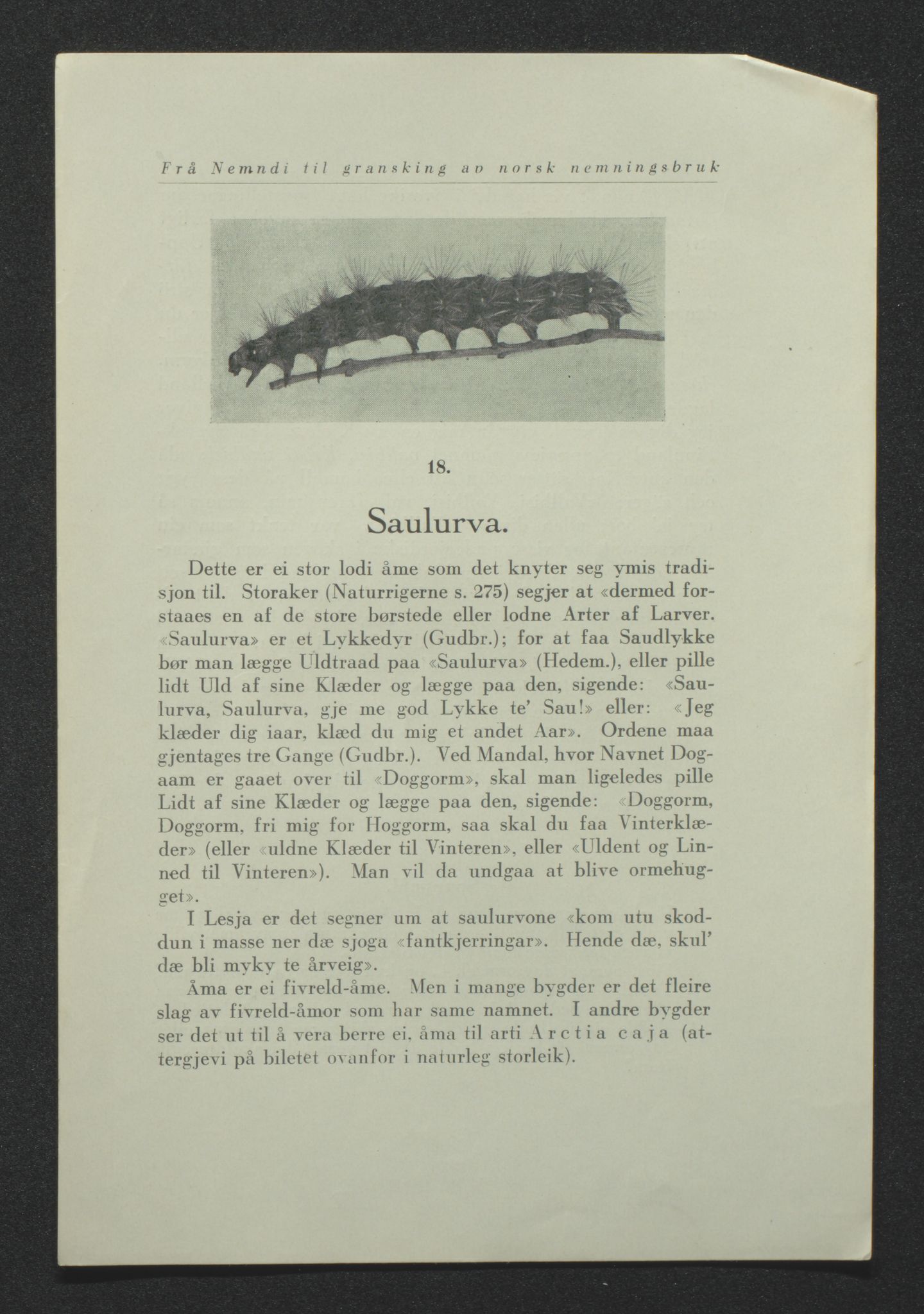 Tveit bygdesogenemnd, AV/SAK-D/0770/F/L0001: A - Emneordnet materiale, 1576-1945, p. 424