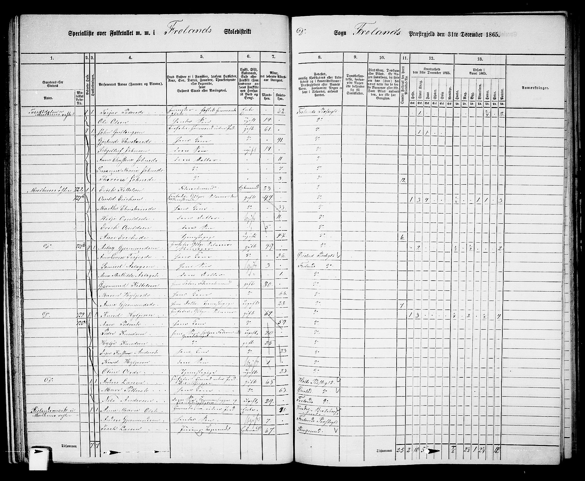 RA, 1865 census for Froland, 1865, p. 34