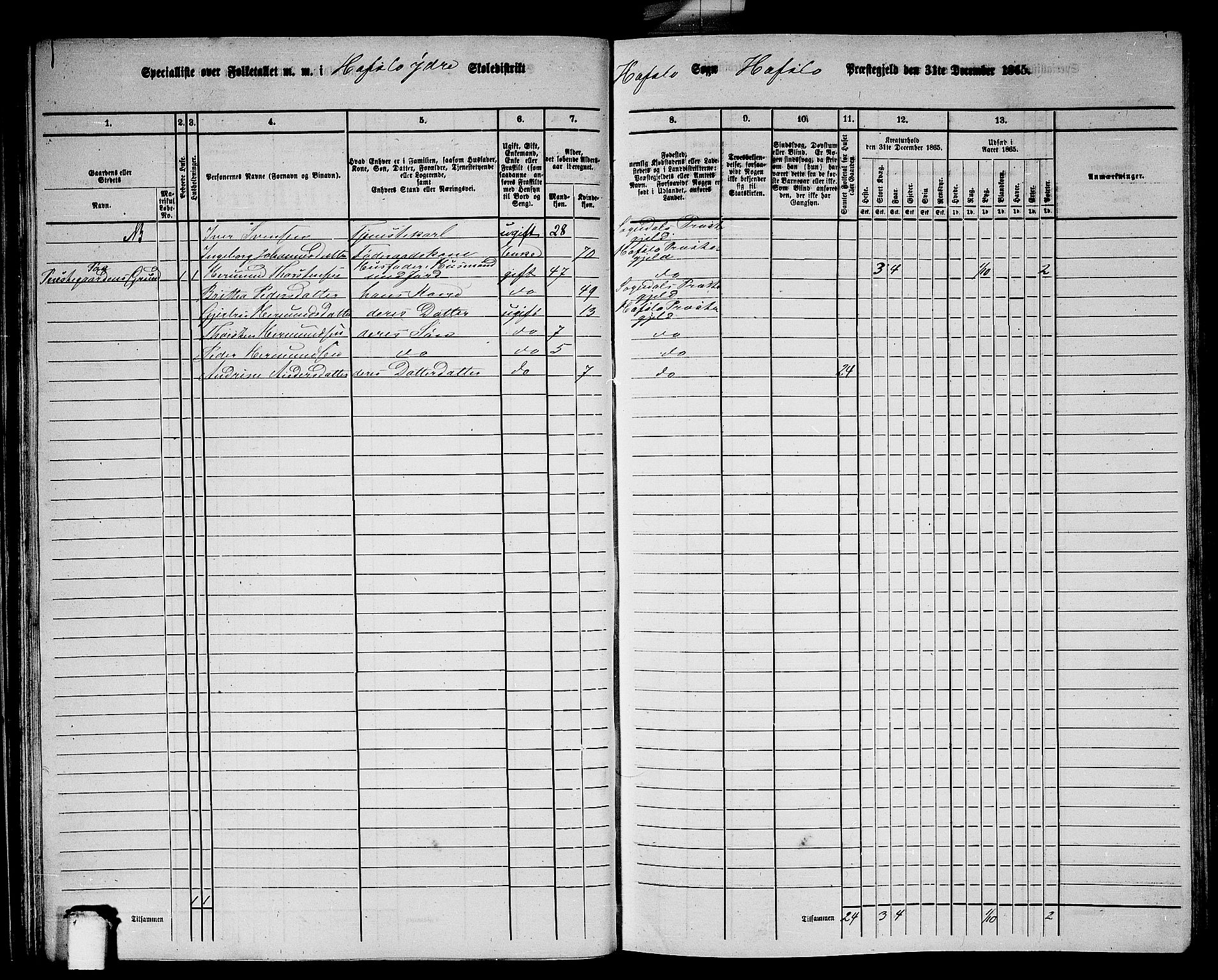 RA, 1865 census for Hafslo, 1865, p. 40