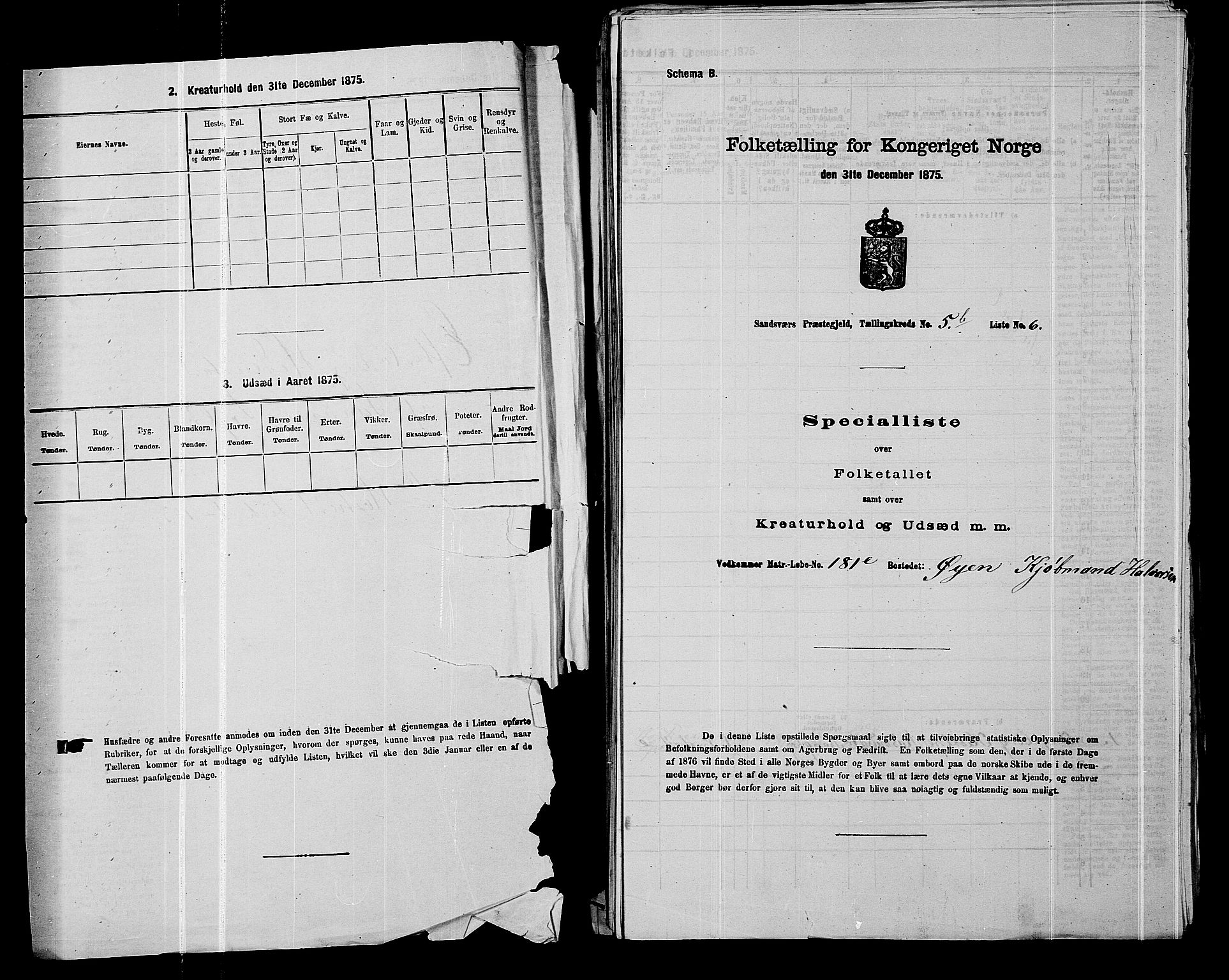 SAKO, 1875 census for 0629P Sandsvær, 1875, p. 916