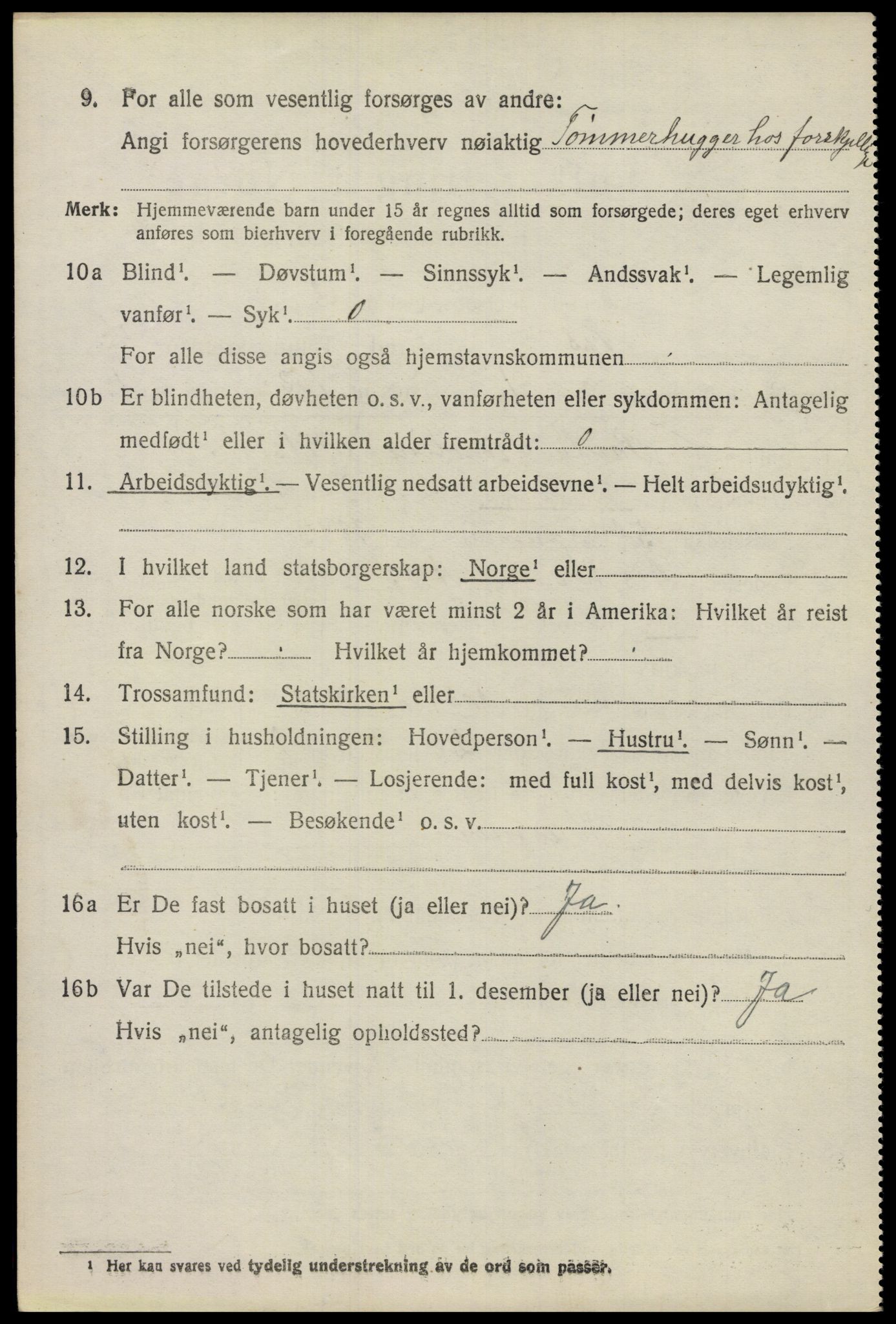 SAO, 1920 census for Nes, 1920, p. 6293