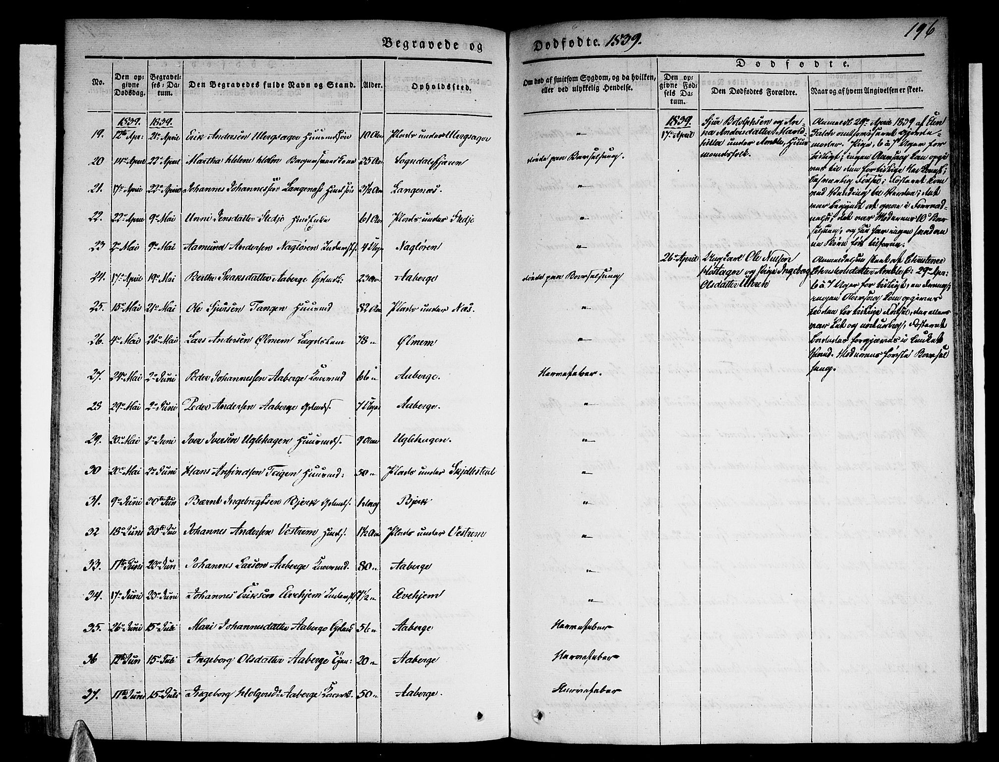 Sogndal sokneprestembete, AV/SAB-A-81301/H/Haa/Haaa/L0011: Parish register (official) no. A 11, 1839-1847, p. 196