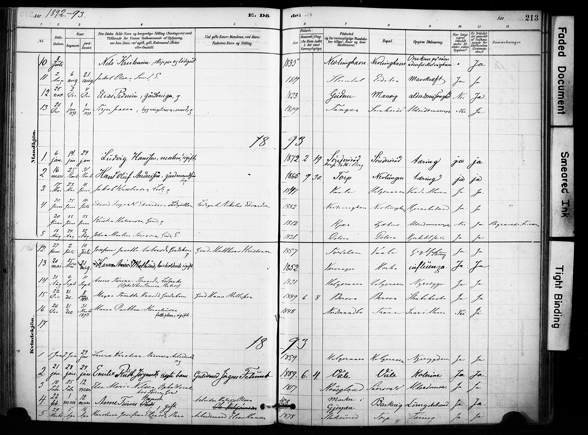 Brunlanes kirkebøker, AV/SAKO-A-342/F/Fb/L0001: Parish register (official) no. II 1, 1878-1899, p. 213