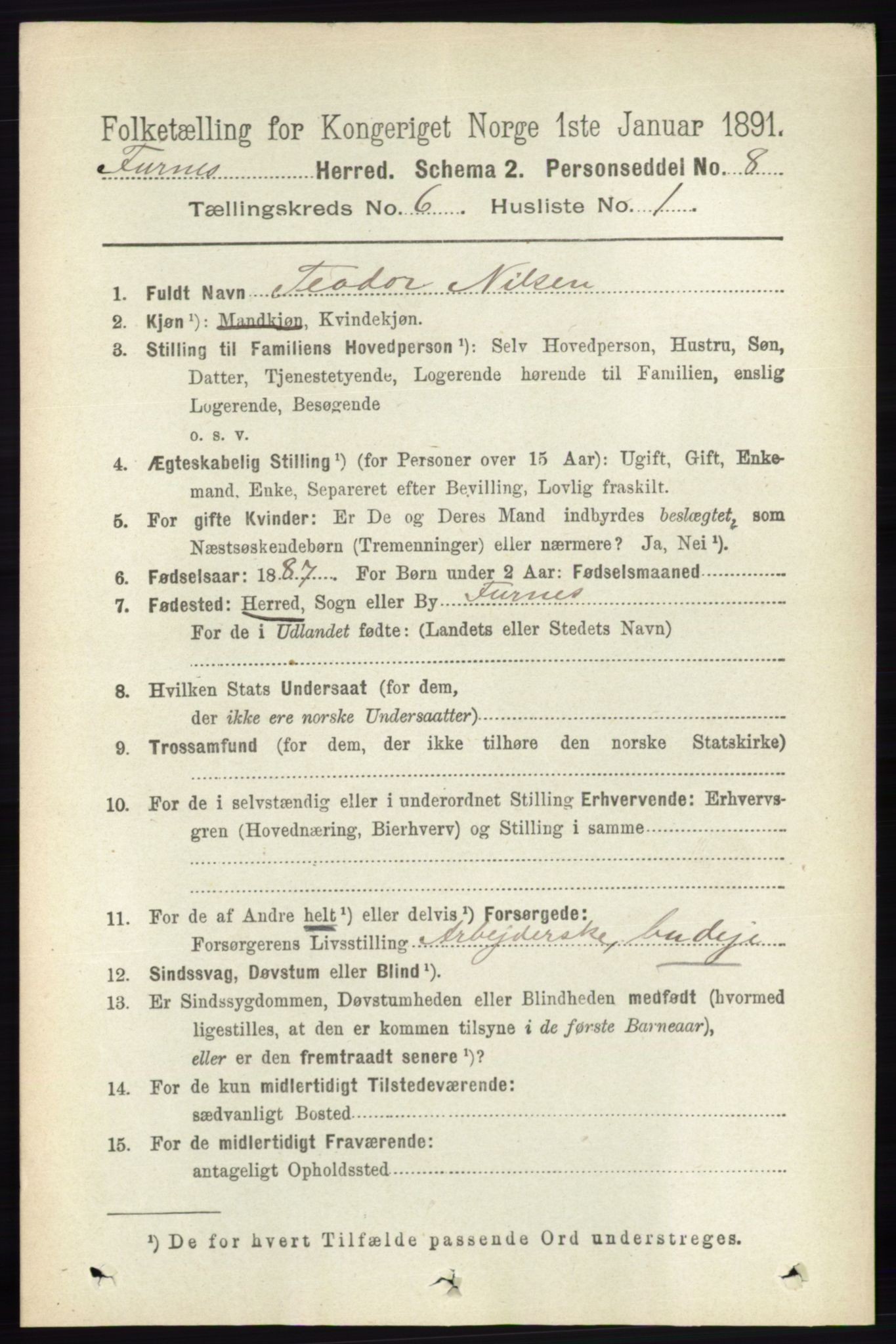 RA, Census 1891 for 0413 Furnes herred, 1891, p. 4167