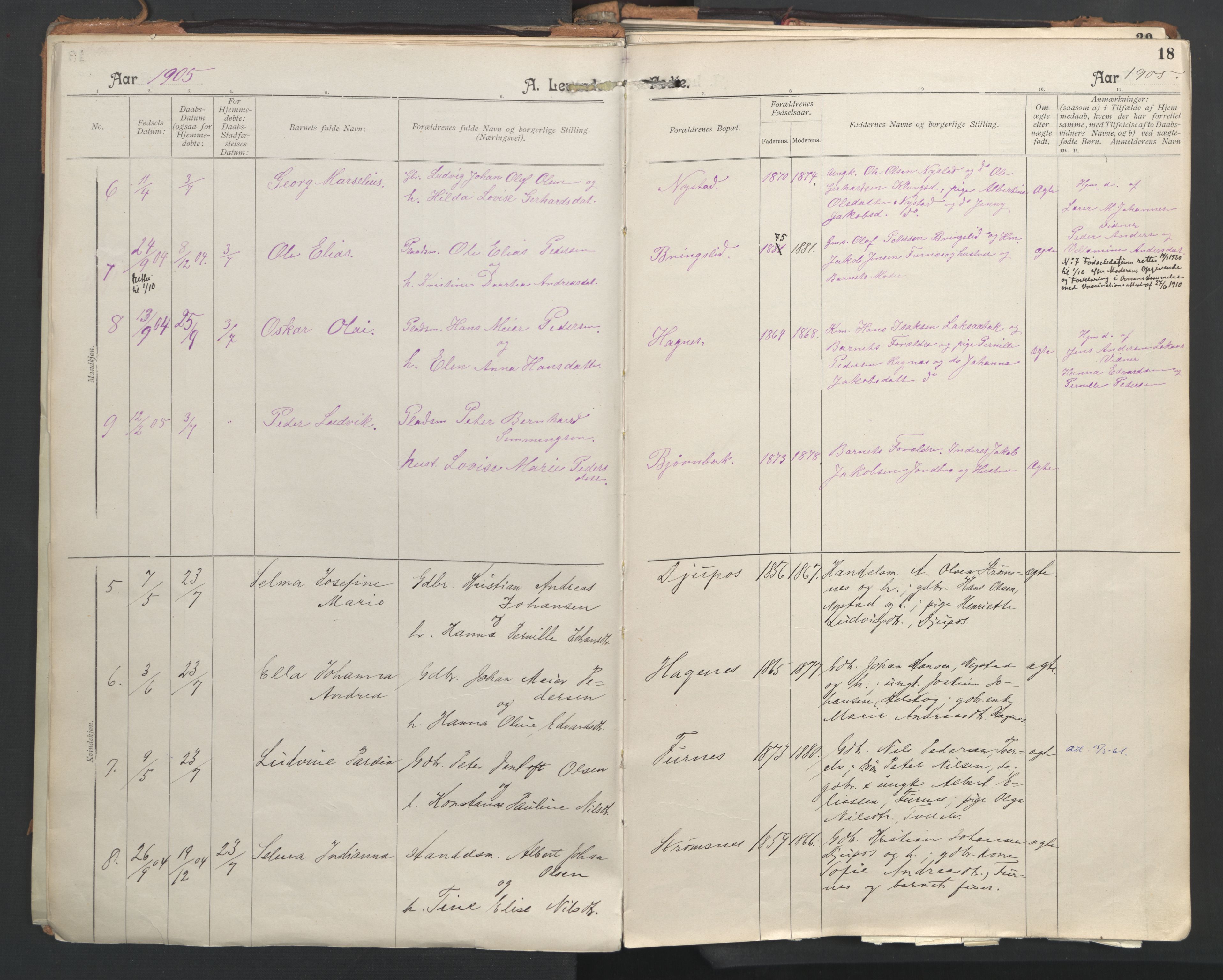 Ministerialprotokoller, klokkerbøker og fødselsregistre - Nordland, SAT/A-1459/851/L0724: Parish register (official) no. 851A01, 1901-1922, p. 18