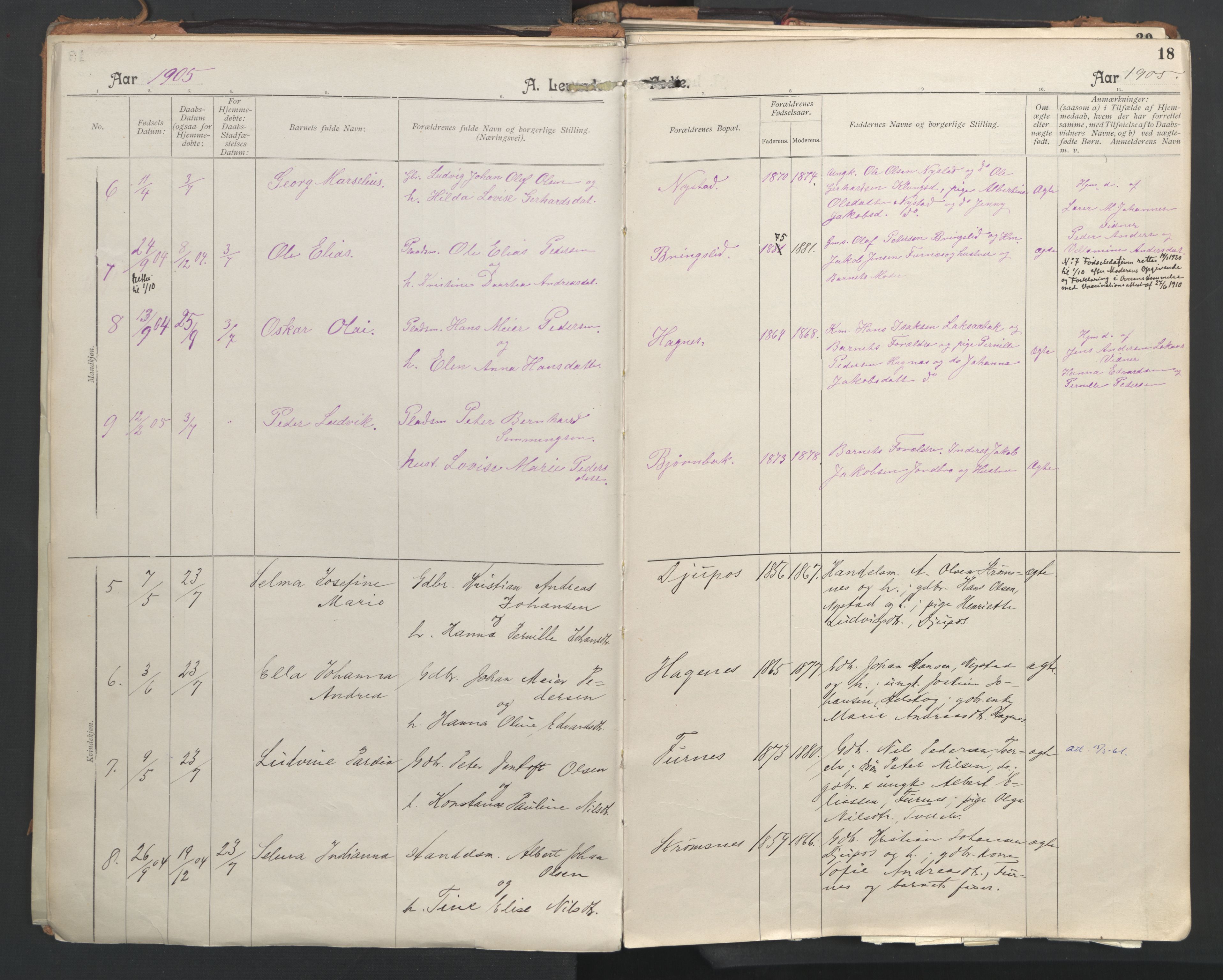 Ministerialprotokoller, klokkerbøker og fødselsregistre - Nordland, AV/SAT-A-1459/851/L0724: Parish register (official) no. 851A01, 1901-1922, p. 18