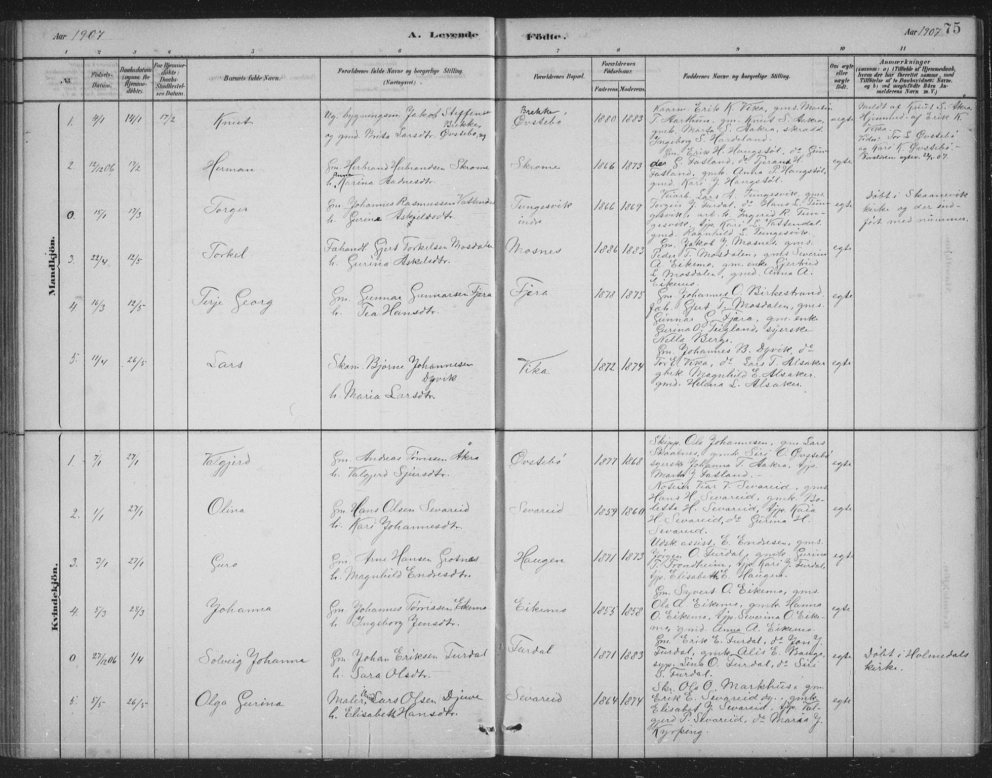 Skånevik sokneprestembete, SAB/A-77801/H/Hab: Parish register (copy) no. B 2, 1881-1920, p. 75