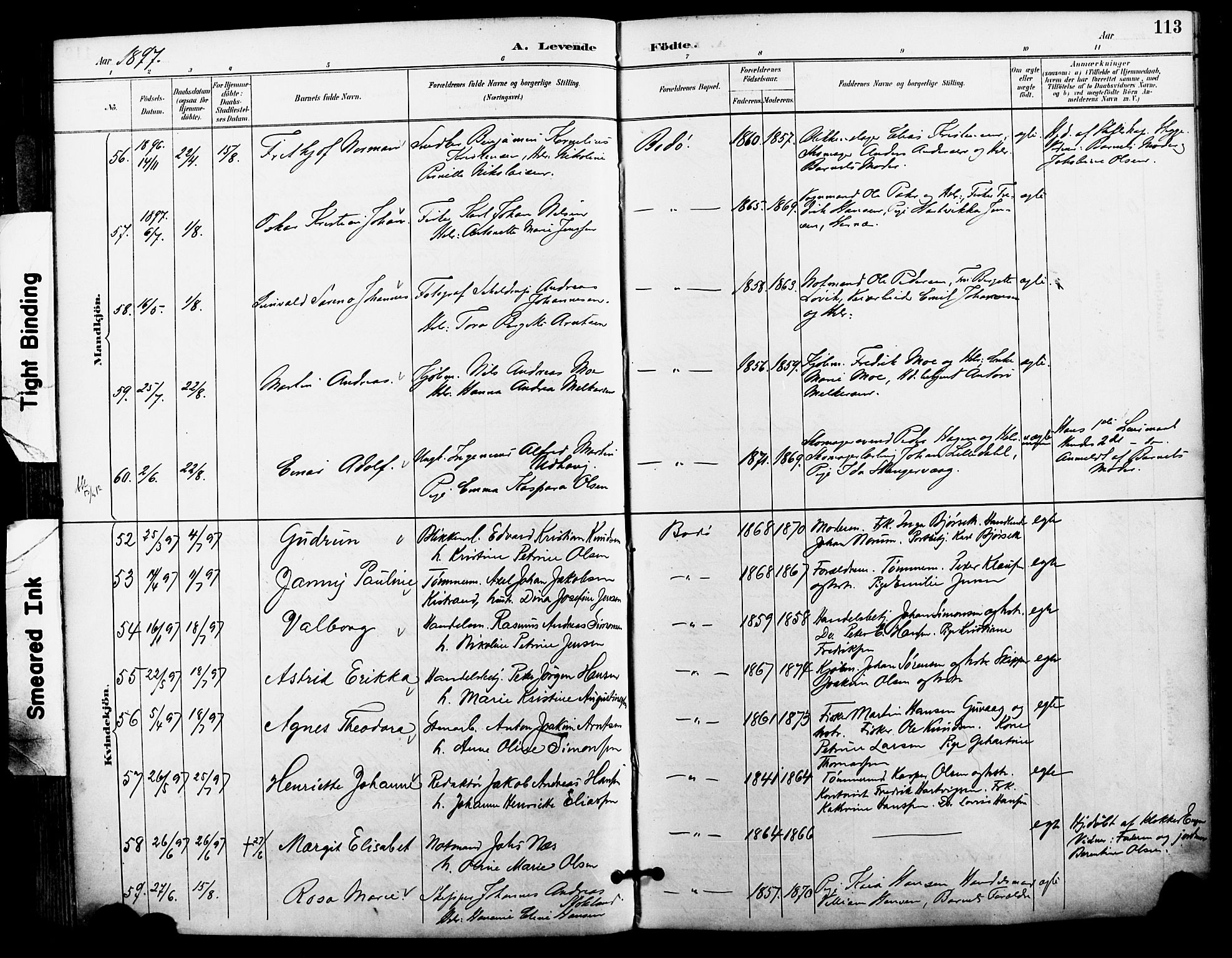 Ministerialprotokoller, klokkerbøker og fødselsregistre - Nordland, SAT/A-1459/801/L0010: Parish register (official) no. 801A10, 1888-1899, p. 113