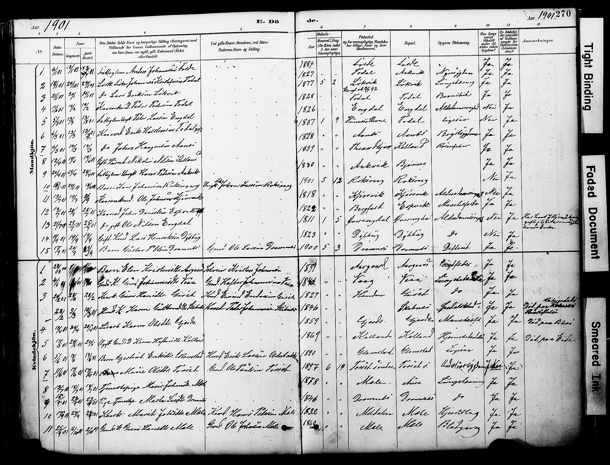 Ministerialprotokoller, klokkerbøker og fødselsregistre - Møre og Romsdal, AV/SAT-A-1454/578/L0907: Parish register (official) no. 578A06, 1887-1904, p. 270