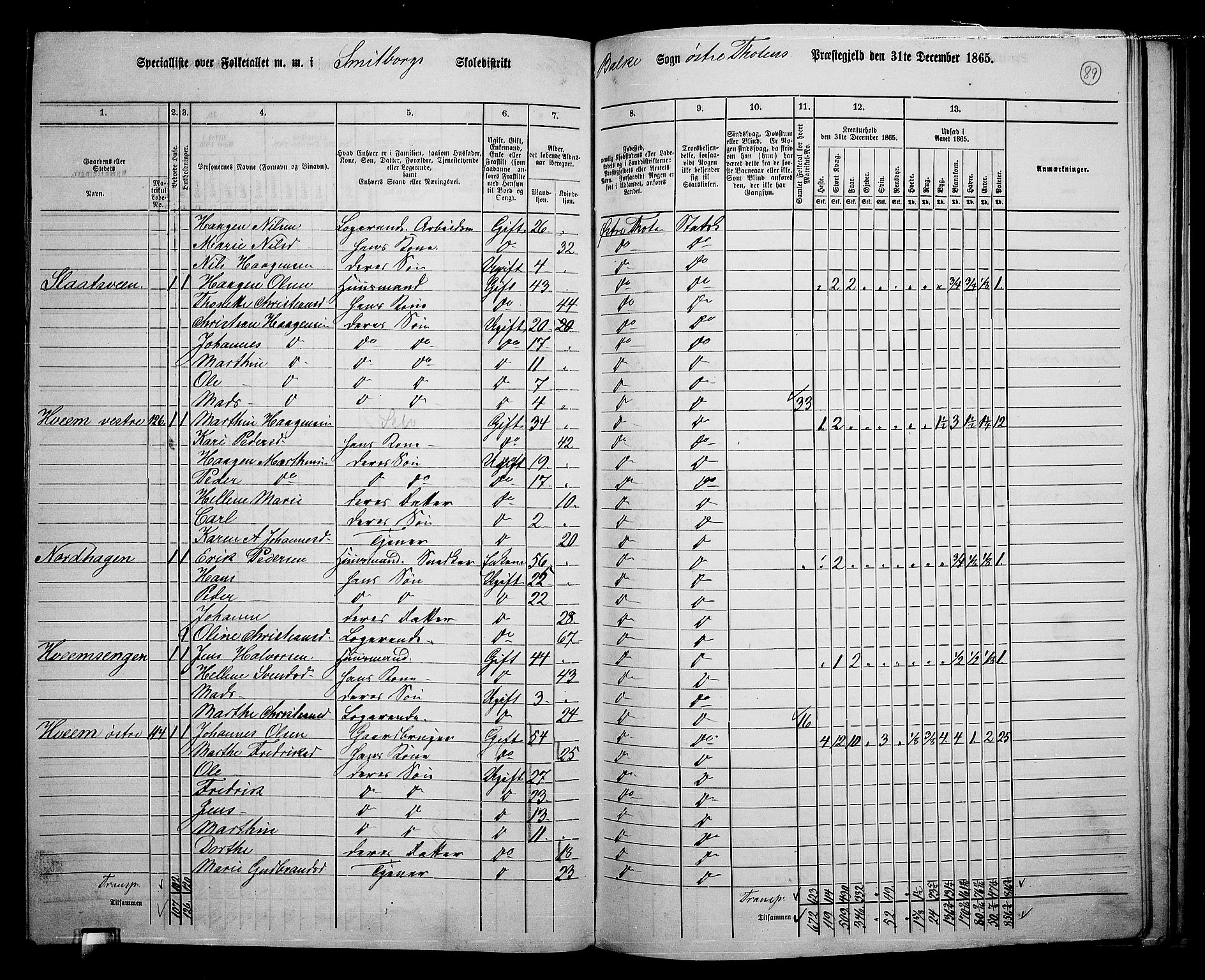 RA, 1865 census for Østre Toten, 1865, p. 100