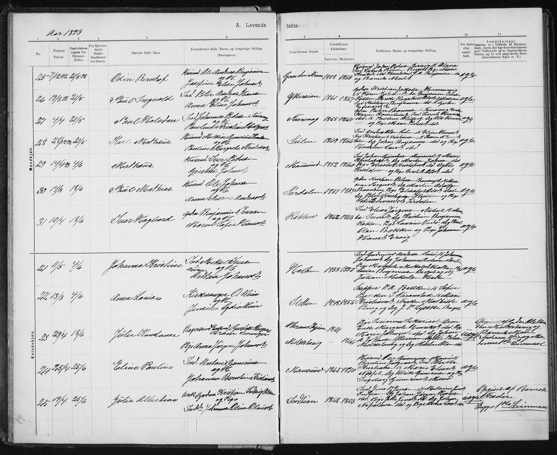 Ministerialprotokoller, klokkerbøker og fødselsregistre - Sør-Trøndelag, AV/SAT-A-1456/640/L0586: Parish register (copy) no. 640C03b, 1891-1908