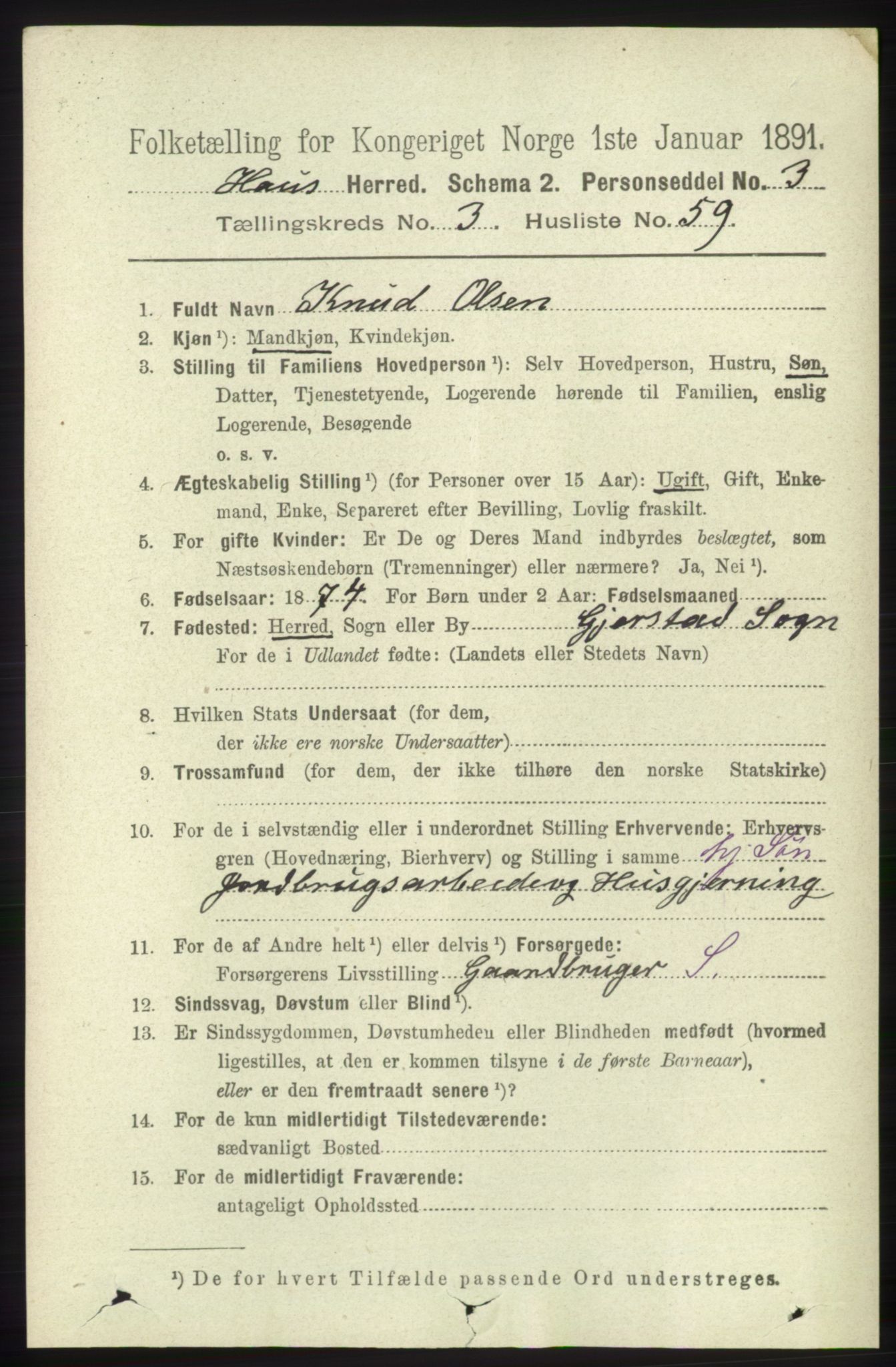 RA, 1891 census for 1250 Haus, 1891, p. 1331