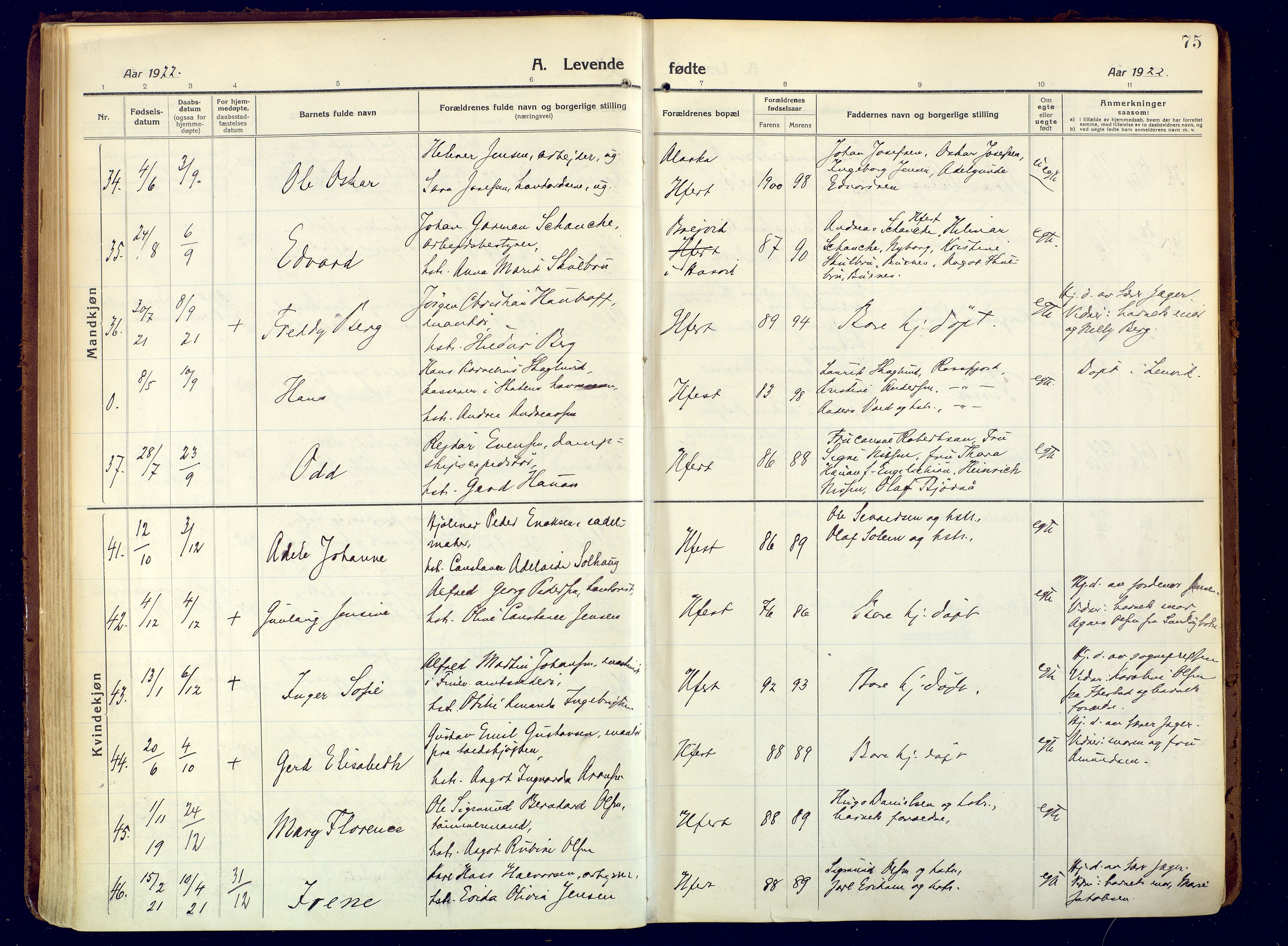 Hammerfest sokneprestkontor, SATØ/S-1347/H/Ha/L0015.kirke: Parish register (official) no. 15, 1916-1923, p. 75