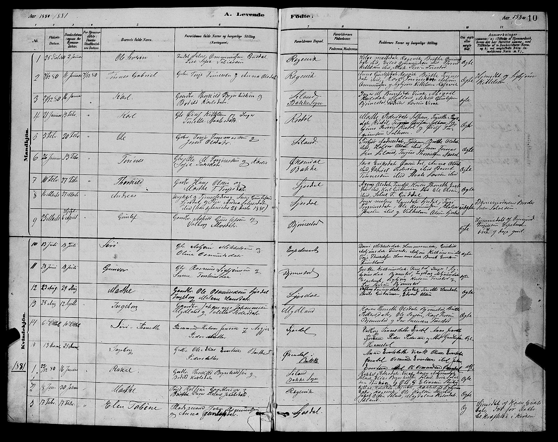 Sirdal sokneprestkontor, AV/SAK-1111-0036/F/Fb/Fbb/L0003: Parish register (copy) no. B 3, 1878-1894, p. 10