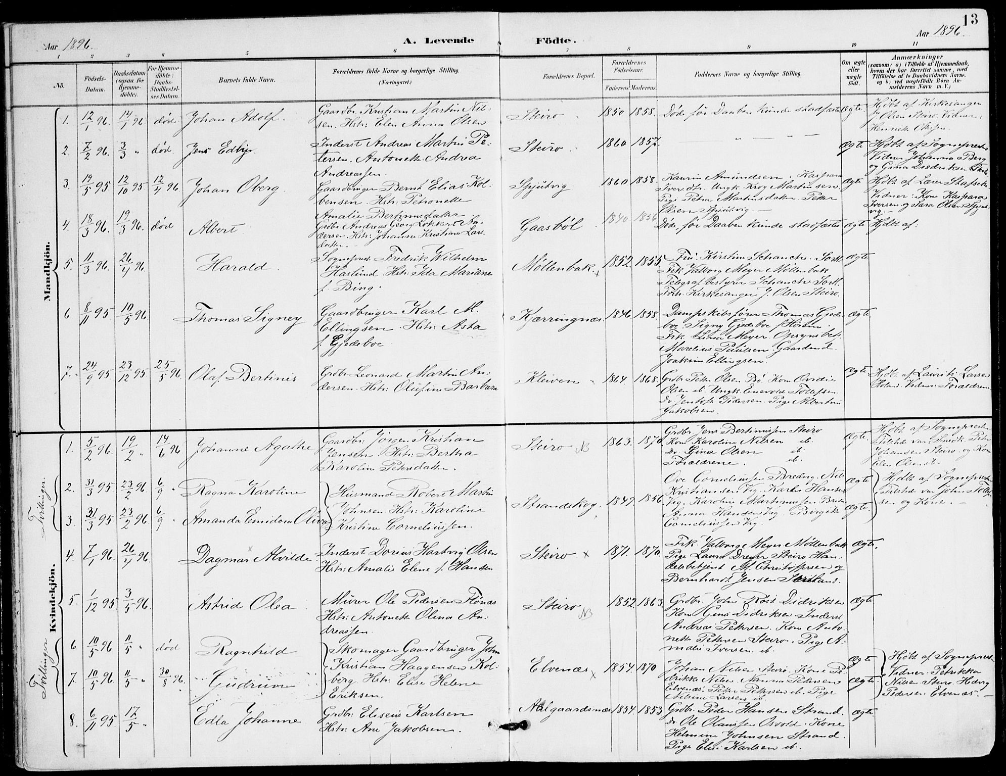 Ministerialprotokoller, klokkerbøker og fødselsregistre - Nordland, AV/SAT-A-1459/895/L1372: Parish register (official) no. 895A07, 1894-1914, p. 13