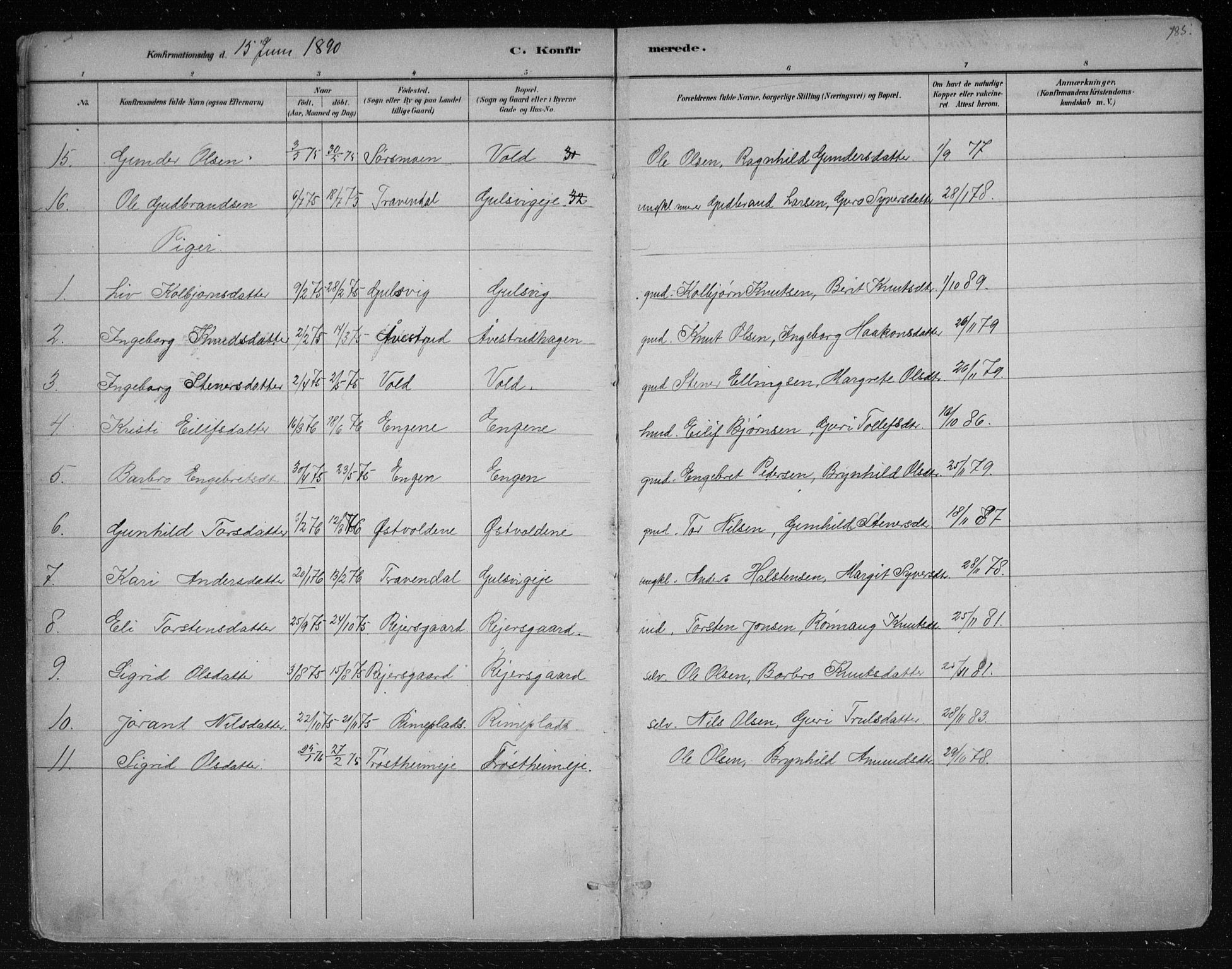 Nes kirkebøker, AV/SAKO-A-236/F/Fa/L0012: Parish register (official) no. 12, 1881-1917, p. 185