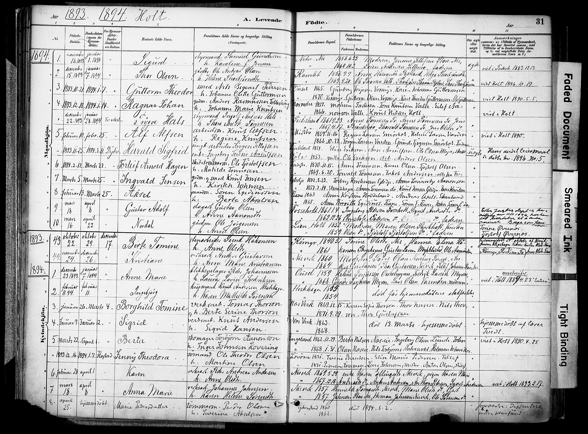 Holt sokneprestkontor, AV/SAK-1111-0021/F/Fa/L0012: Parish register (official) no. A 12, 1885-1907, p. 31