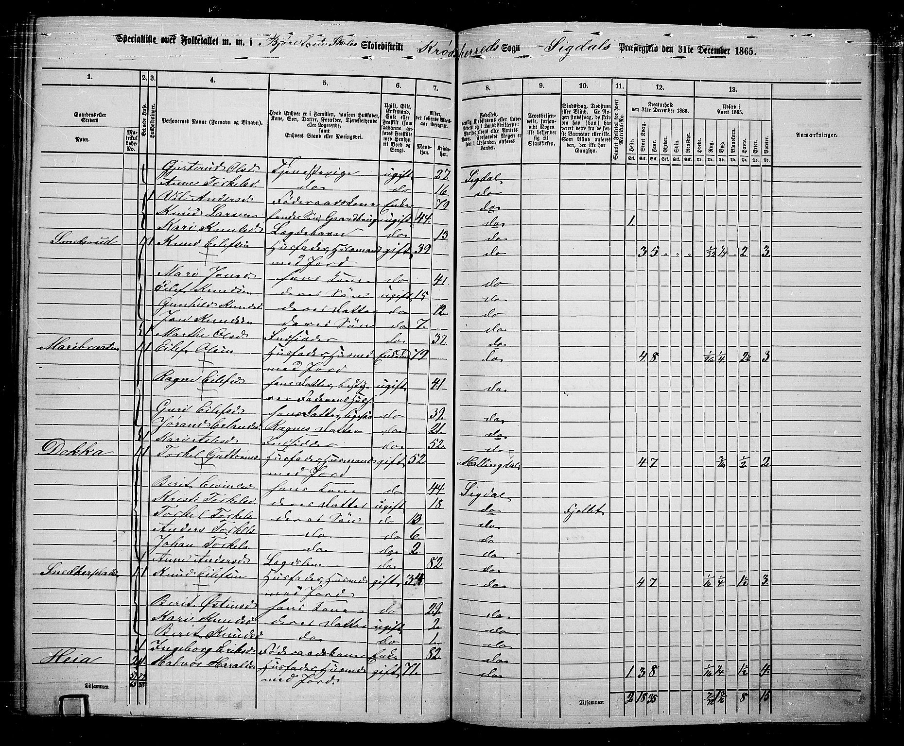 RA, 1865 census for Sigdal, 1865, p. 243