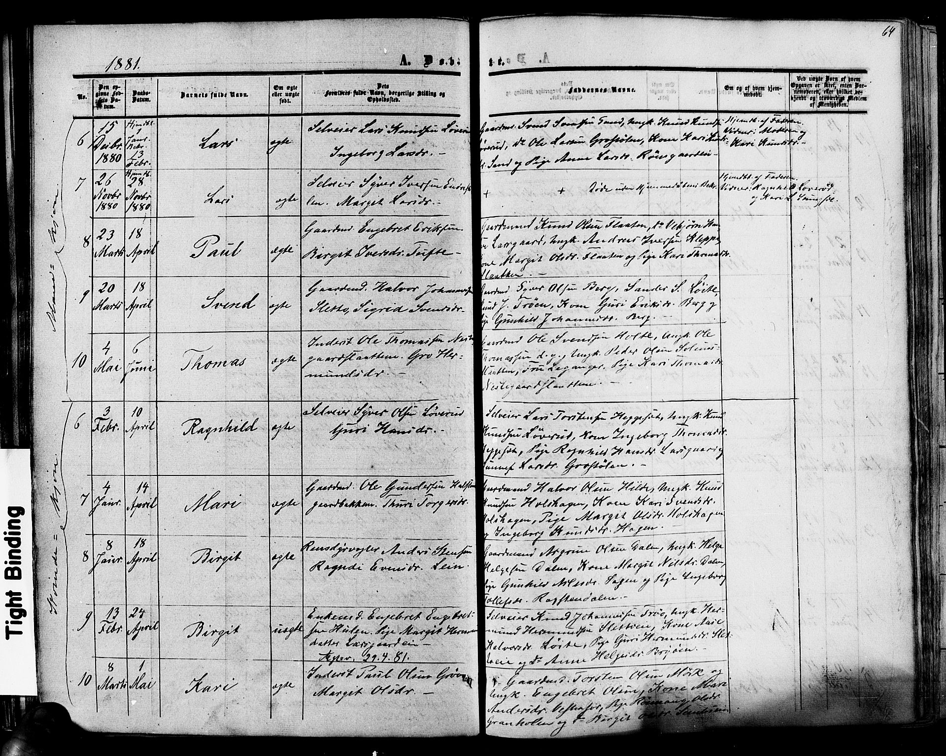 Hol kirkebøker, SAKO/A-227/F/Fa/L0002: Parish register (official) no. I 2, 1870-1886, p. 64