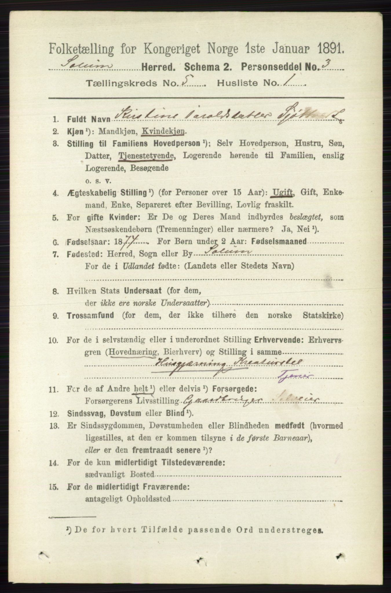 RA, 1891 census for 0818 Solum, 1891, p. 838