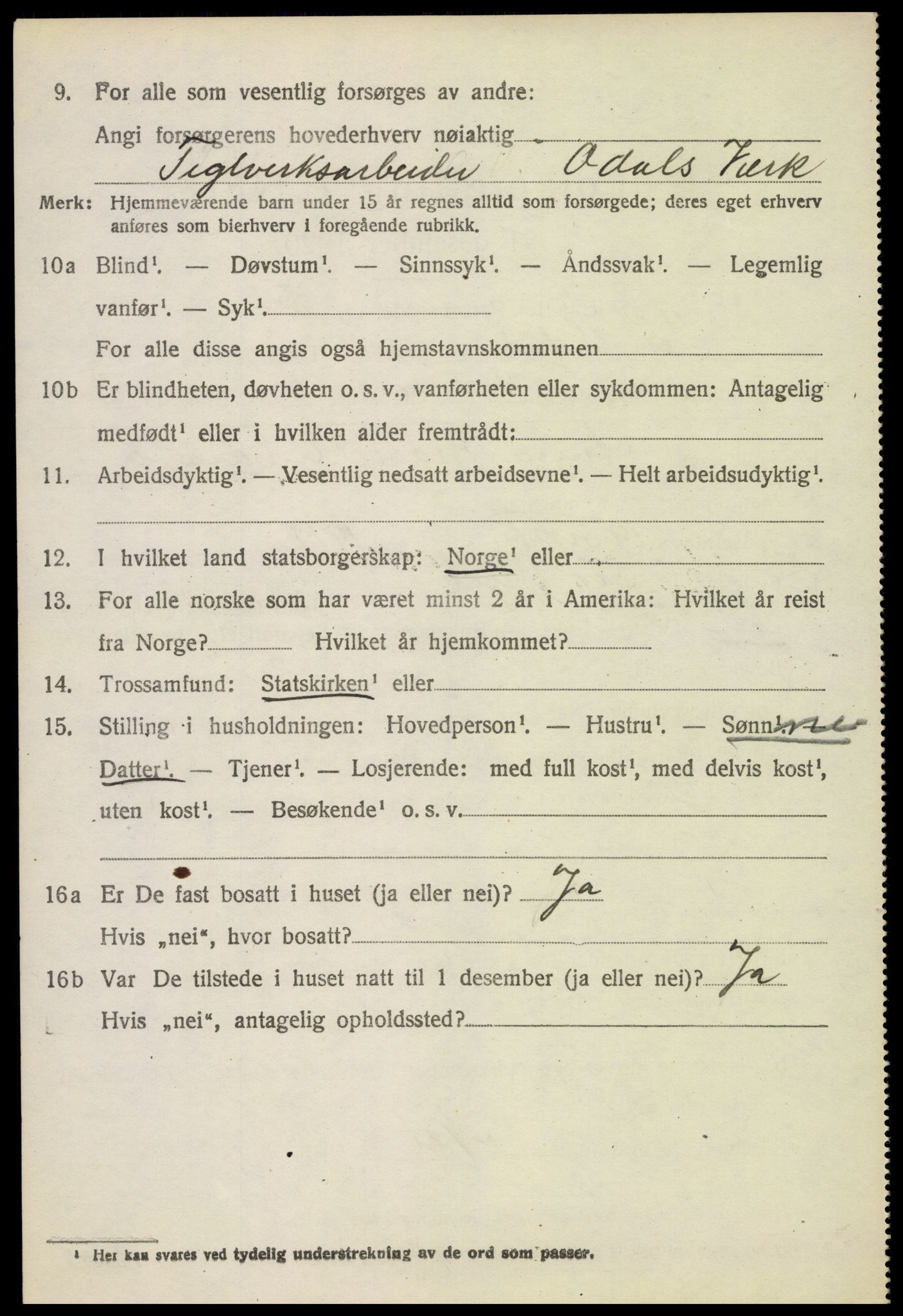 SAH, 1920 census for Sør-Odal, 1920, p. 2982